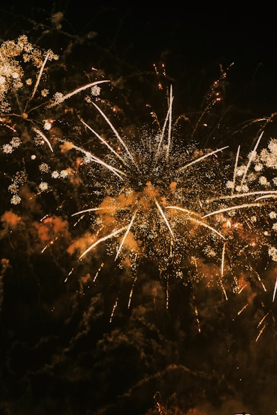 a large fireworks is lit up in the night sky