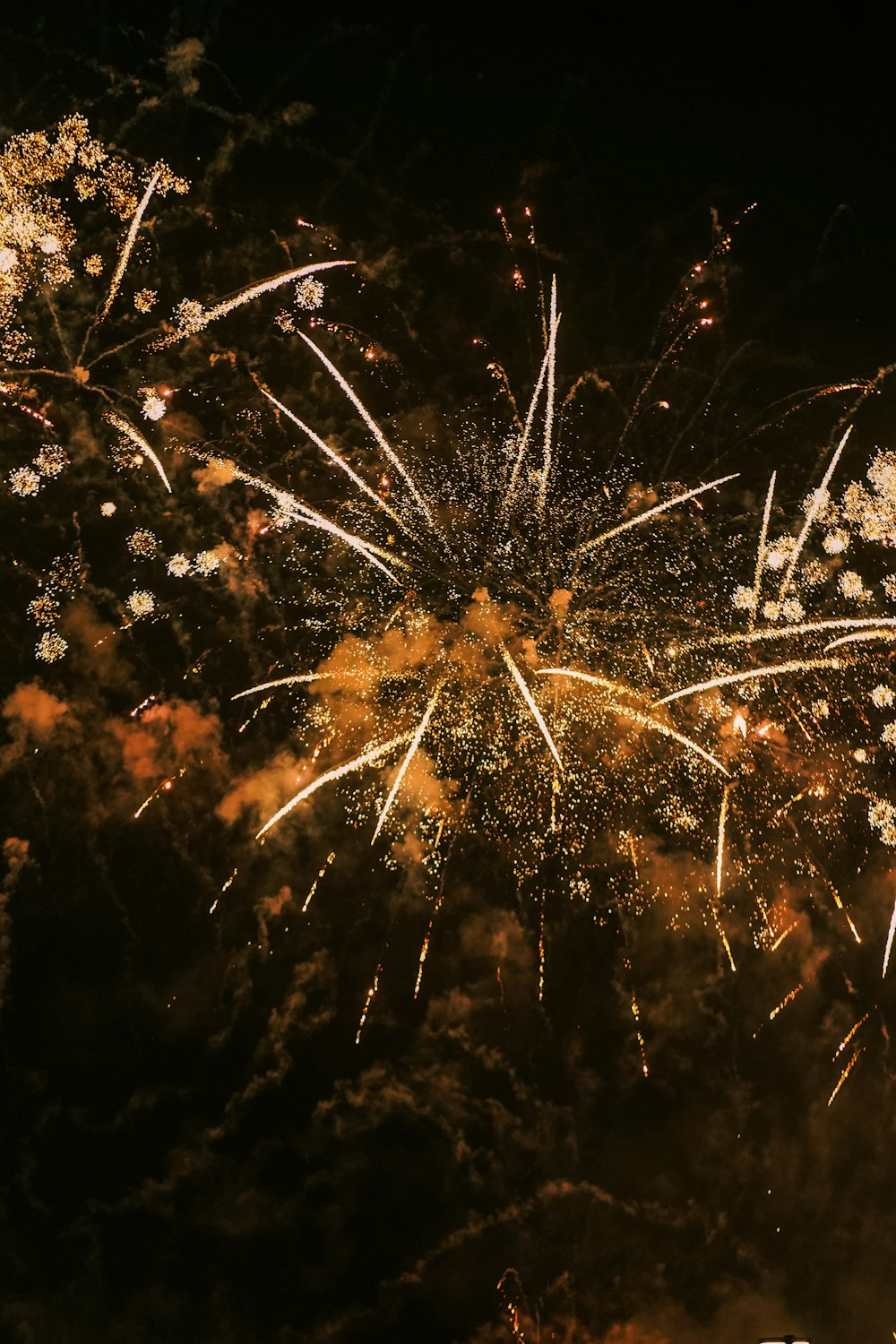 a large fireworks is lit up in the night sky