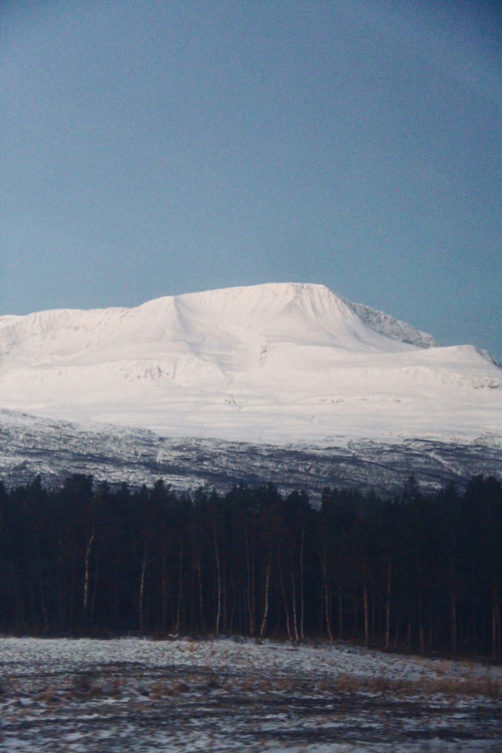 a snow covered mountain with trees in the foreground