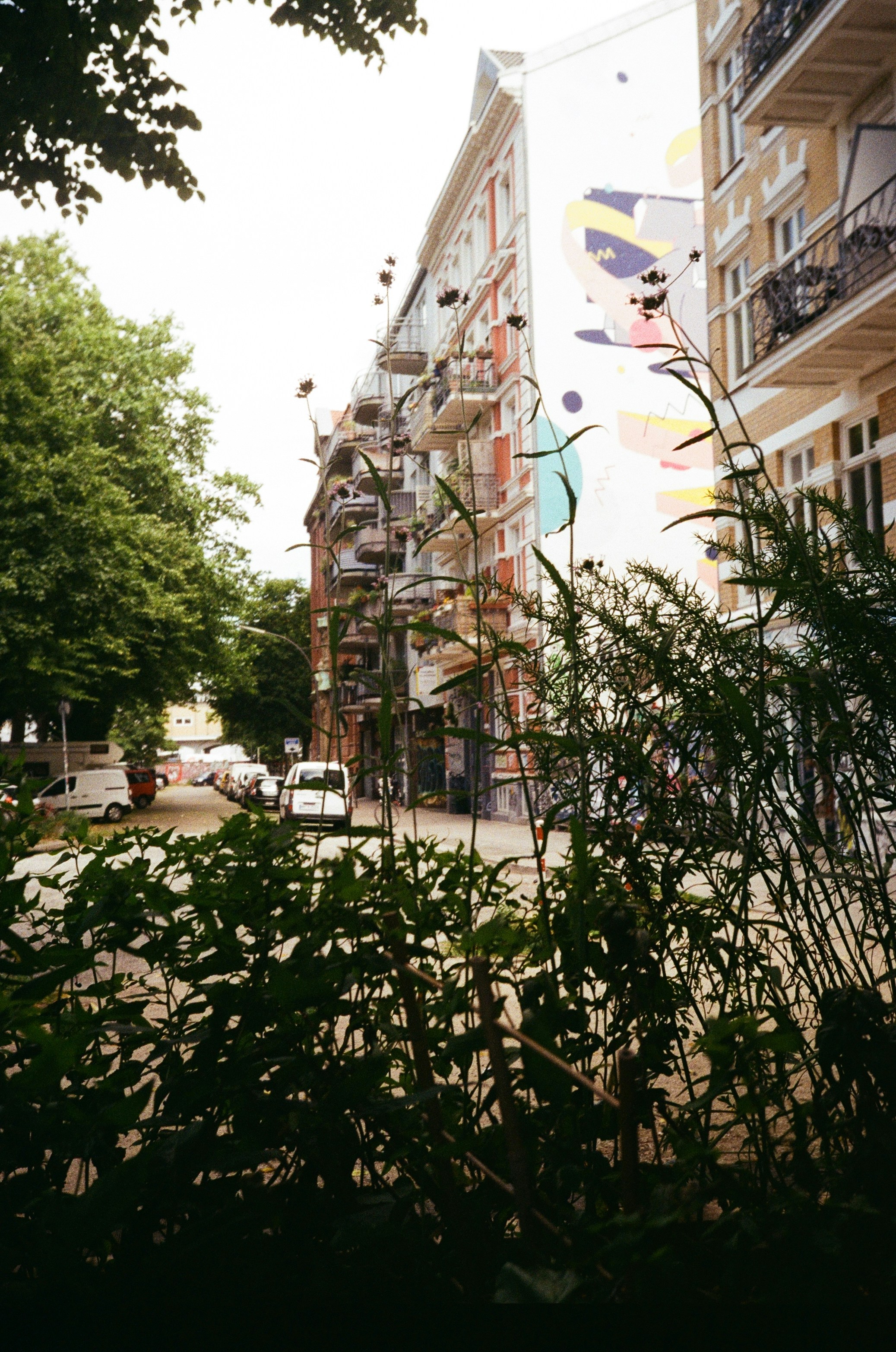 Photo by behnazyosofi