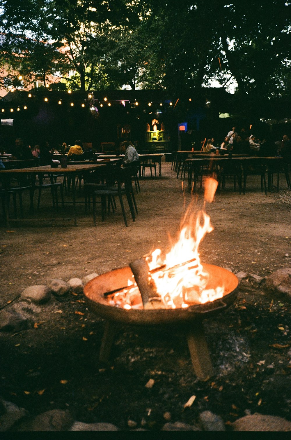 un foyer assis au milieu d’un parc