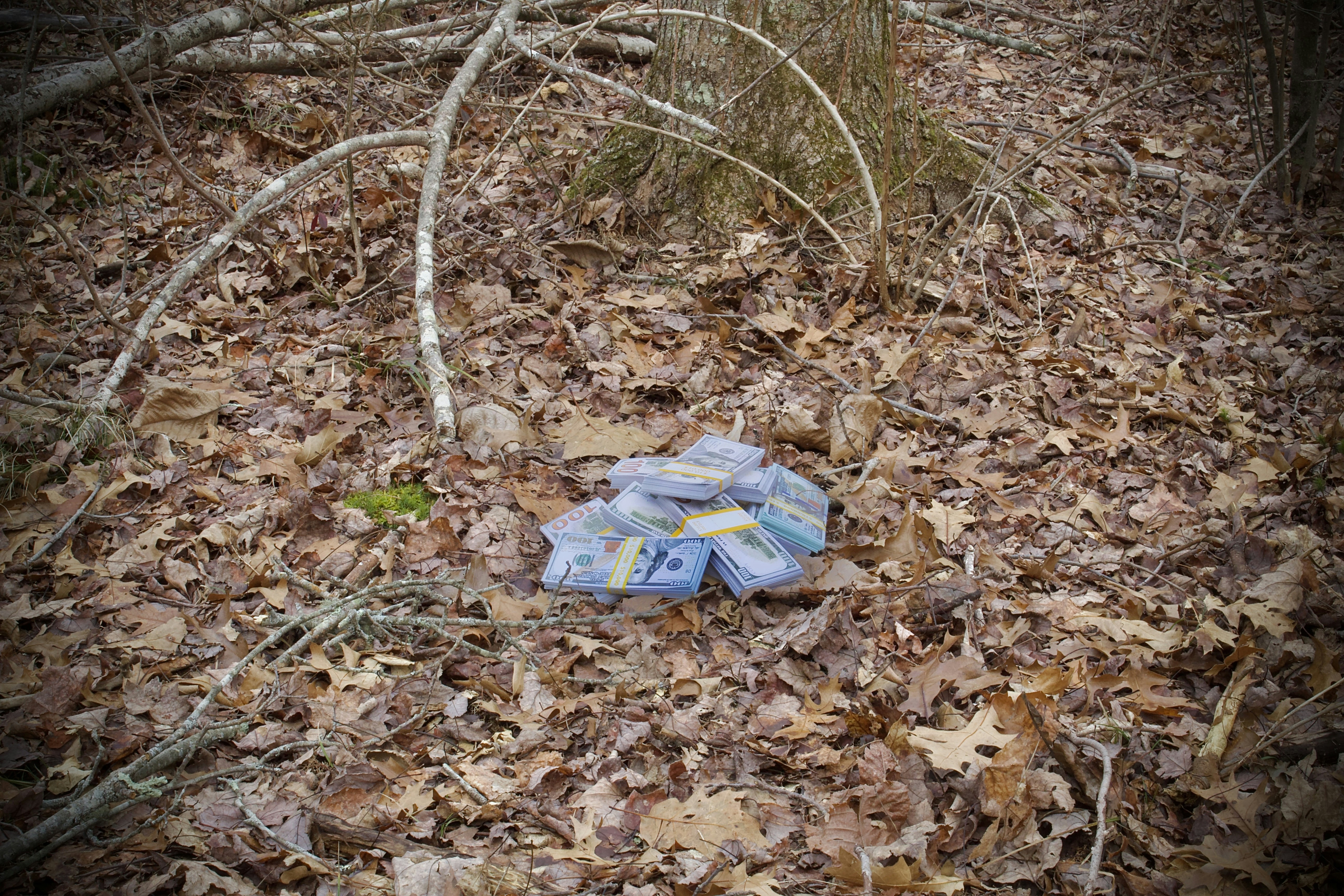 Photo by astro_lex18