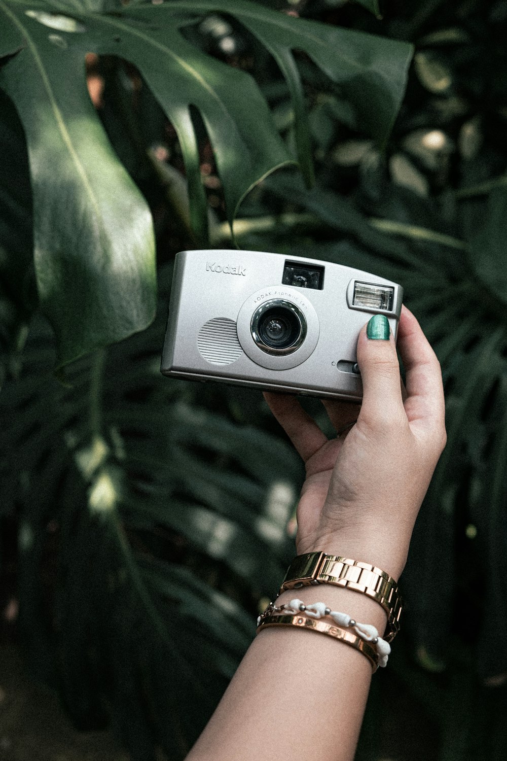 a person holding a camera in their hand