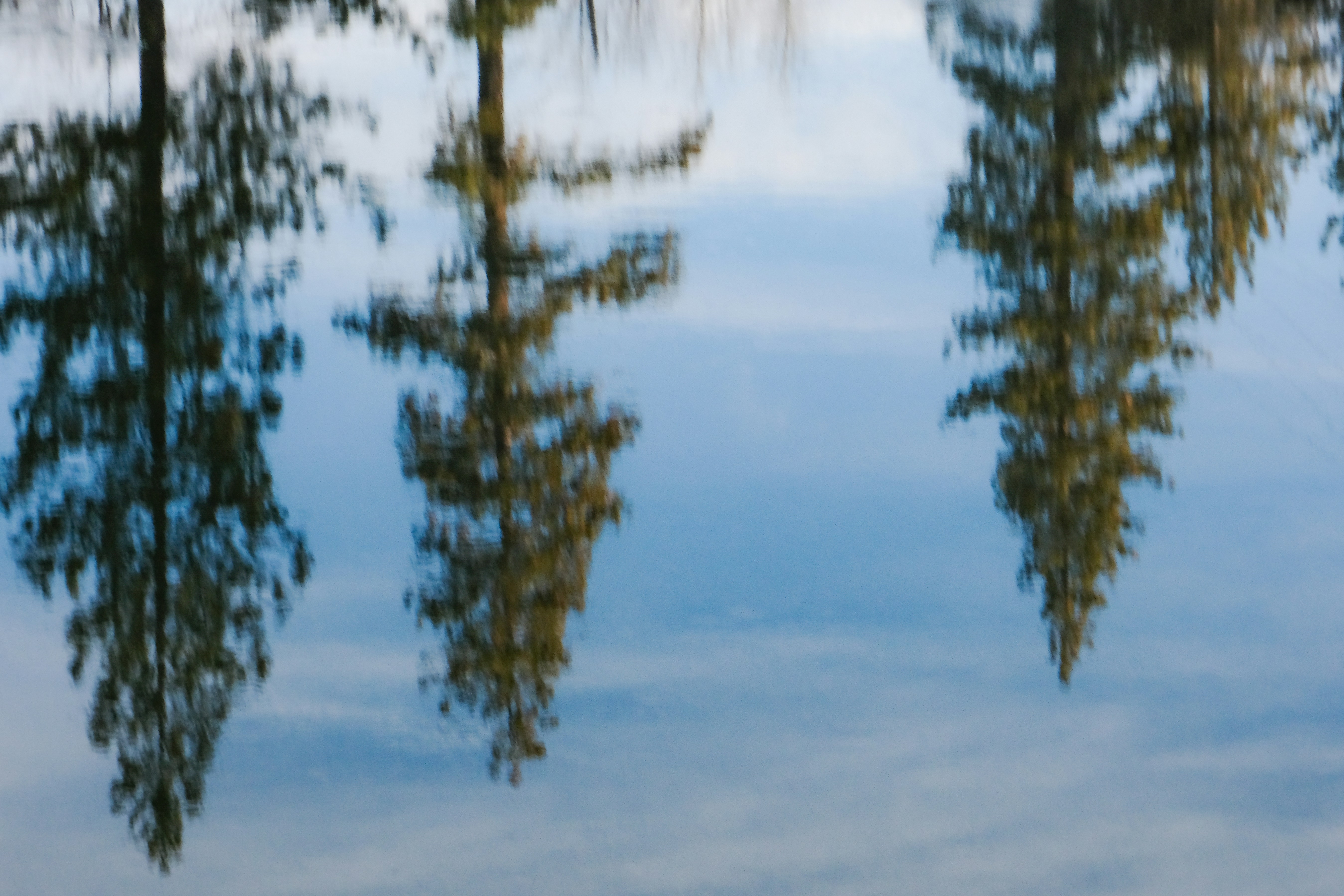 Photo by cestmoisheedy