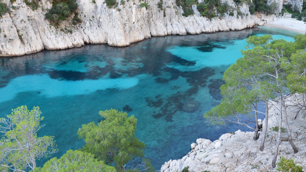 a body of water surrounded by trees and rocks