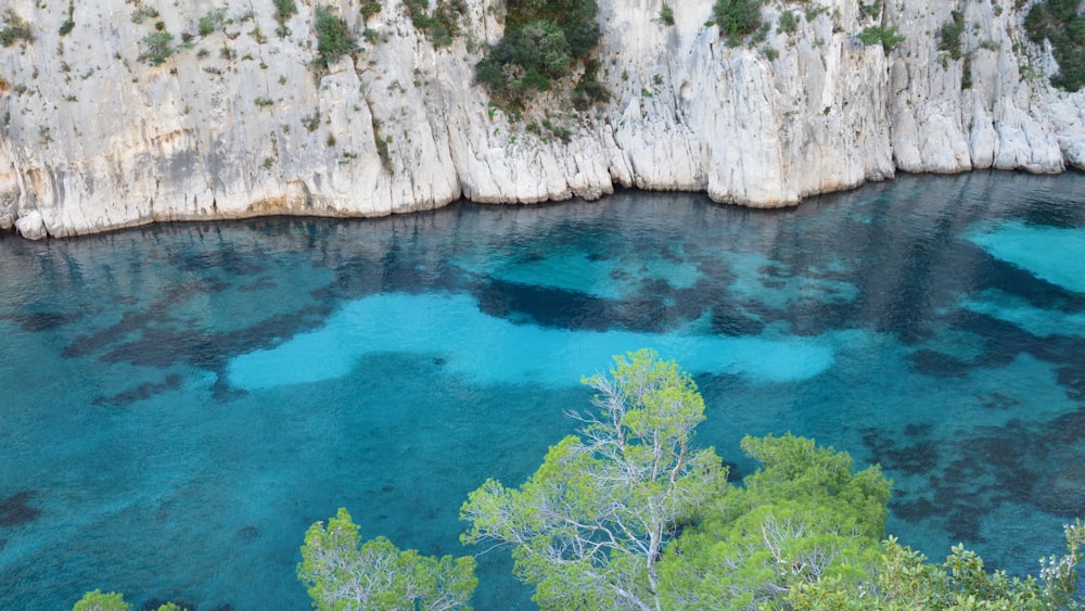 a body of water surrounded by trees and cliffs