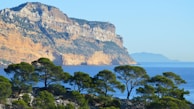 a view of a mountain with trees in front of it