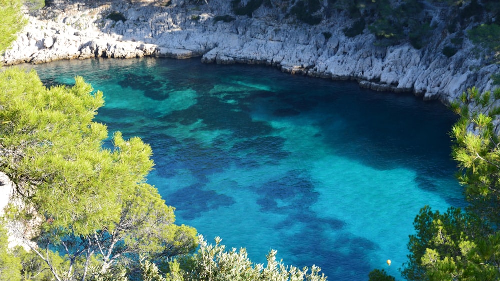 a large body of water surrounded by trees