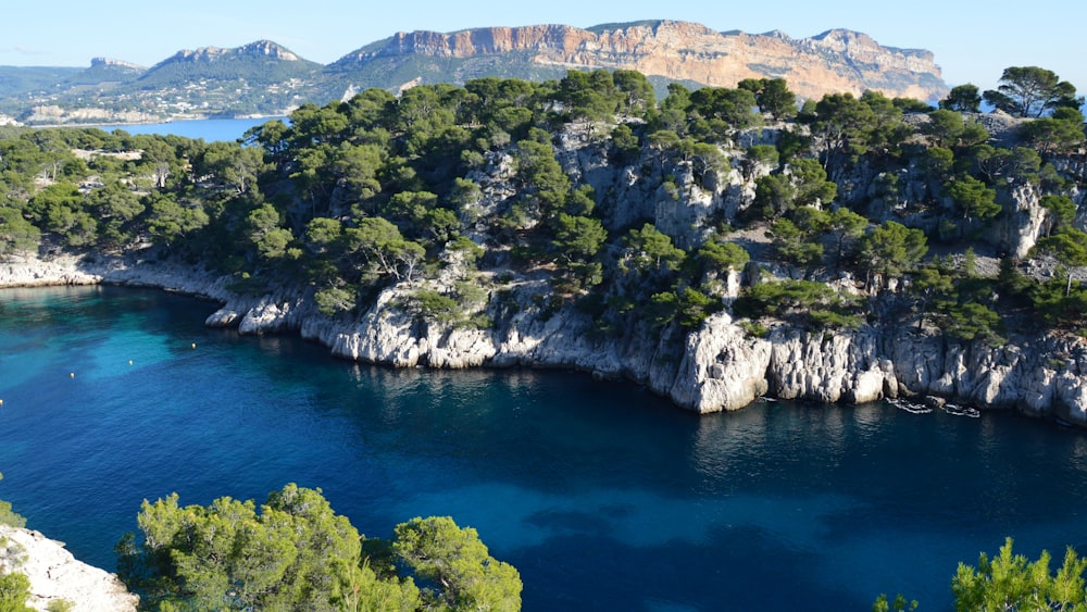 a body of water surrounded by trees and mountains