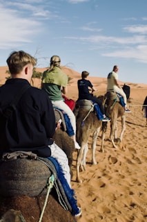 a group of people riding on the backs of camels