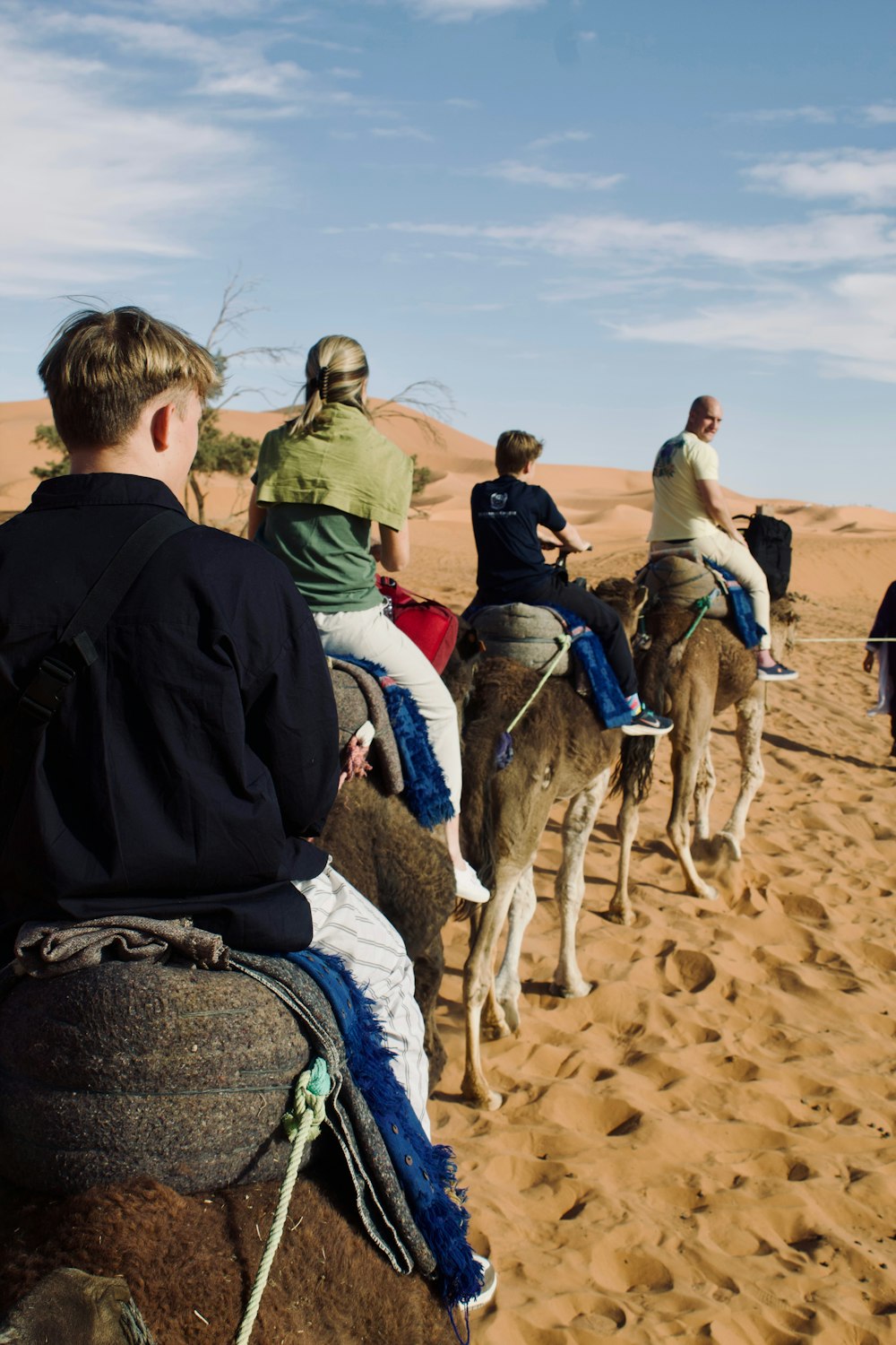 a group of people riding on the backs of camels