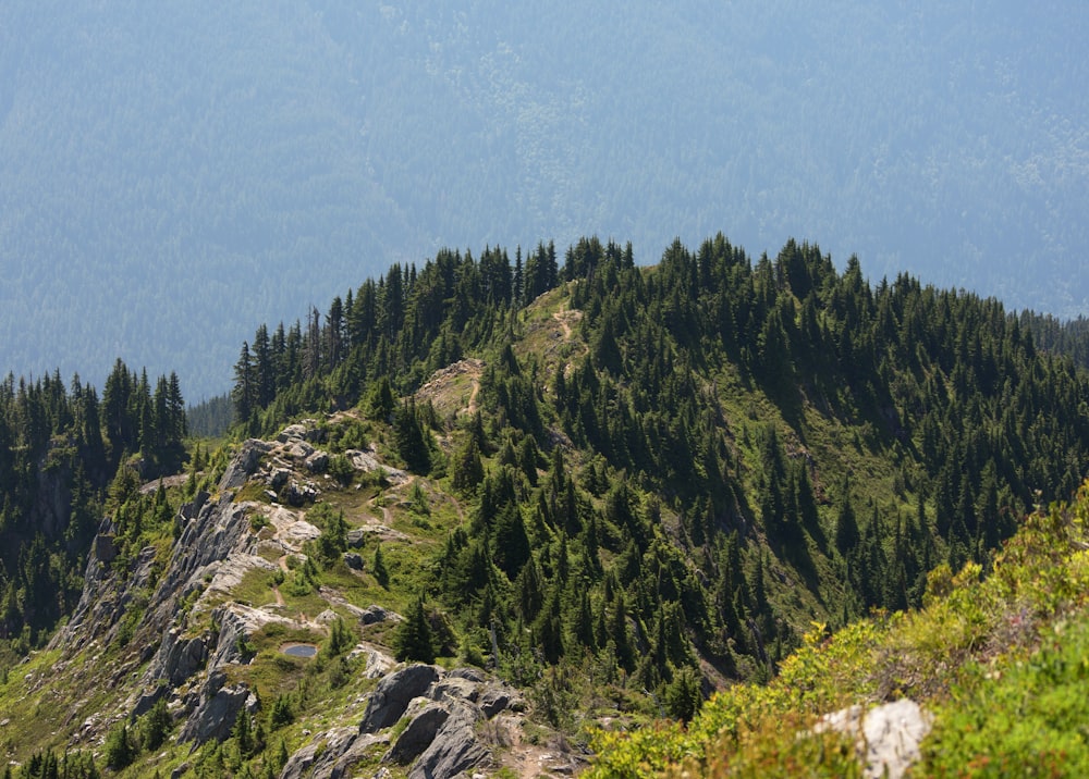 a view of the top of a mountain with trees on it