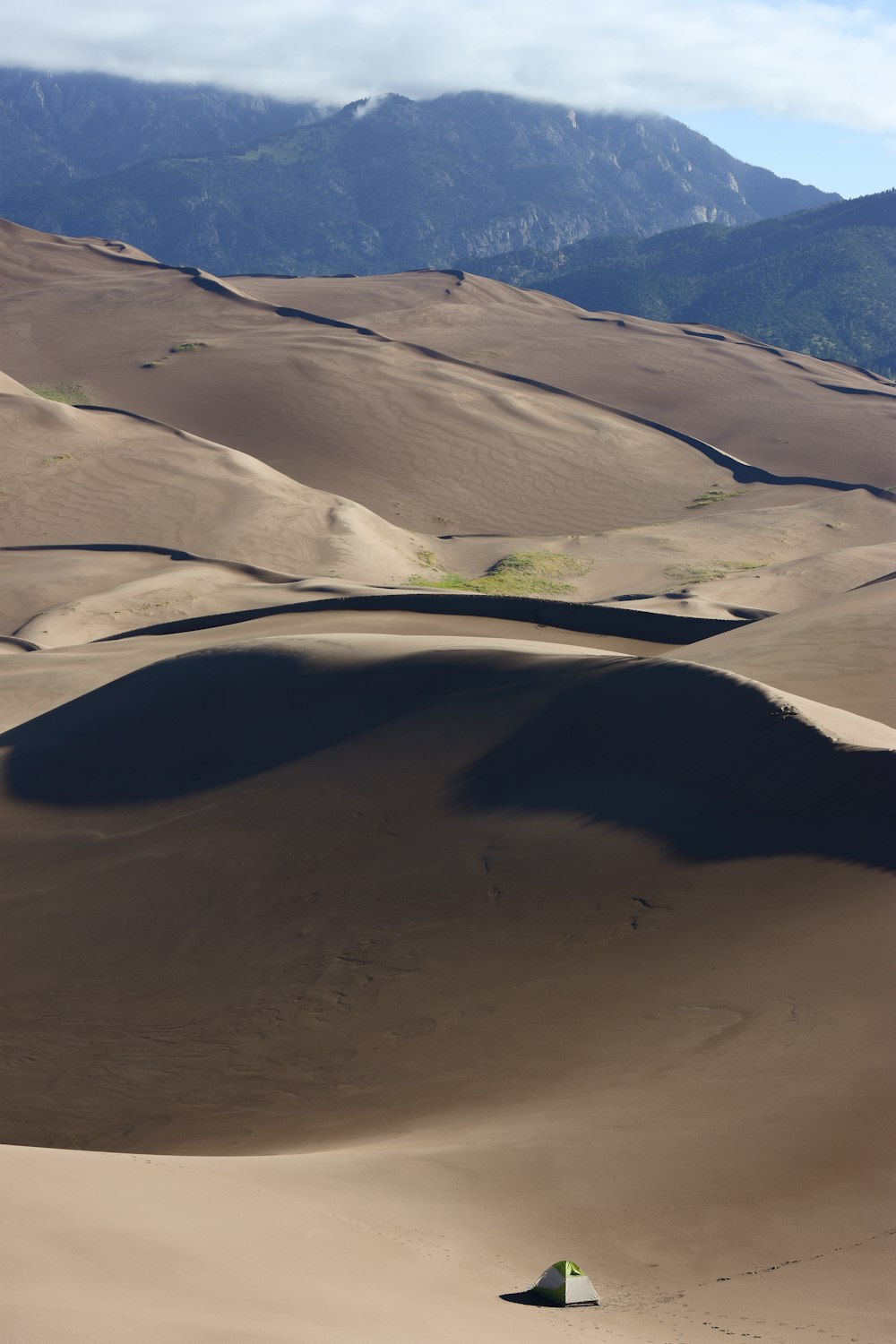 a person standing in the middle of a desert