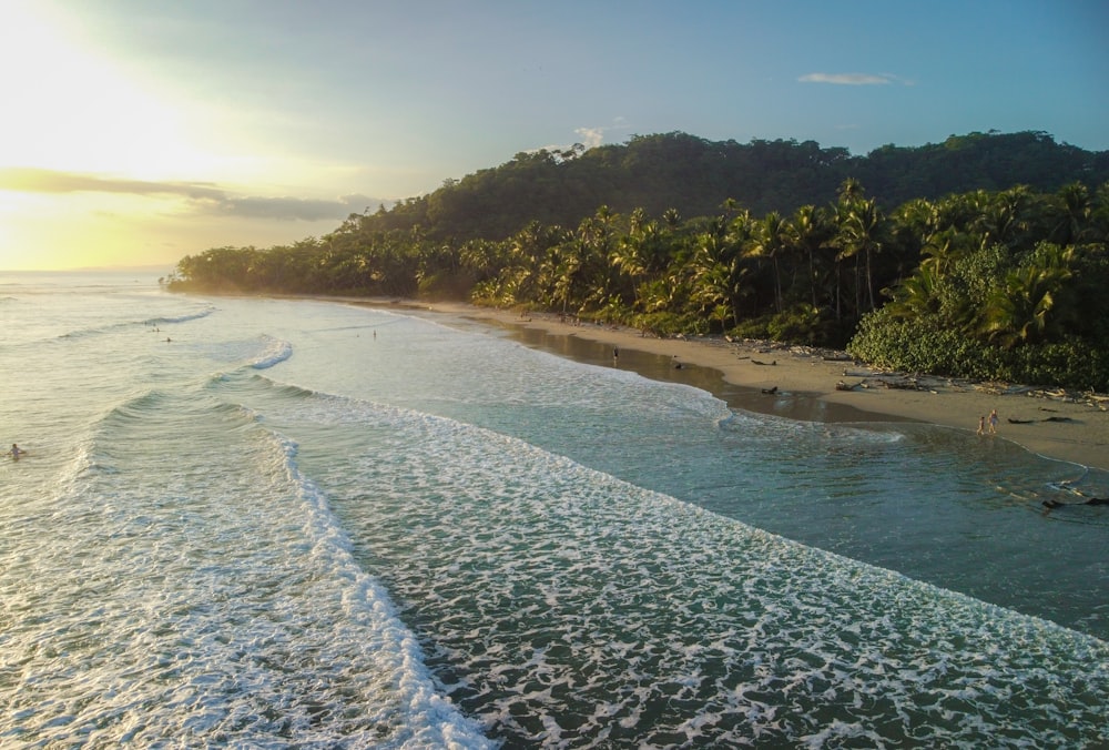 an aerial view of a beach with waves coming in