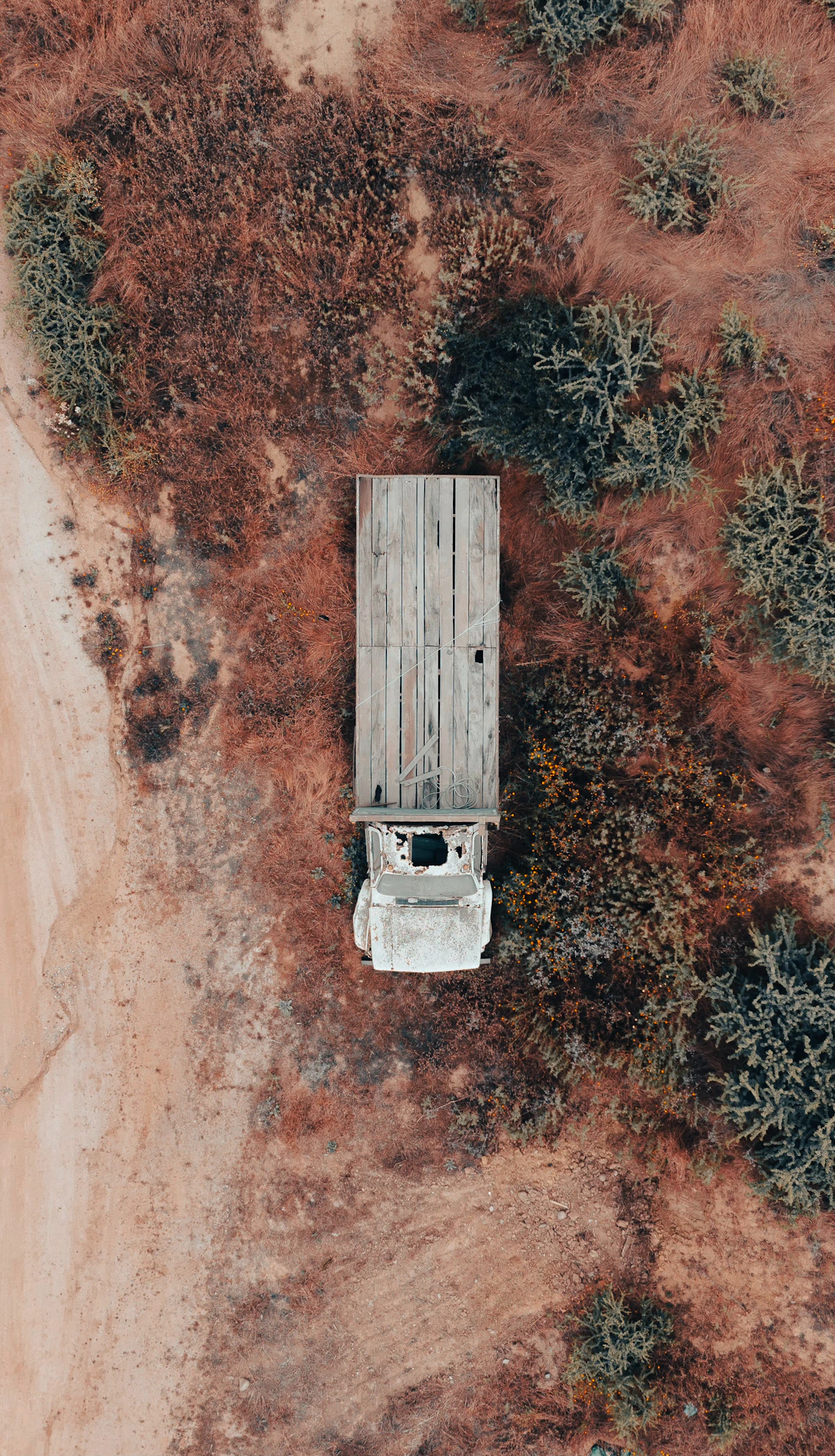Trucking Company Negligence in Dallas Accidents