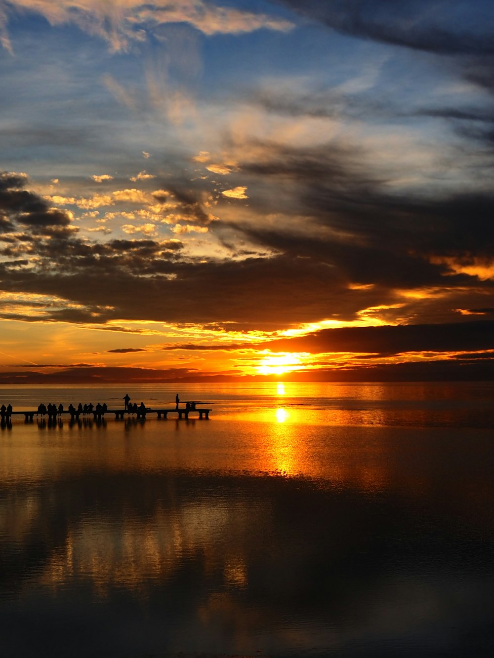 a group of birds sitting on a pier at sunset