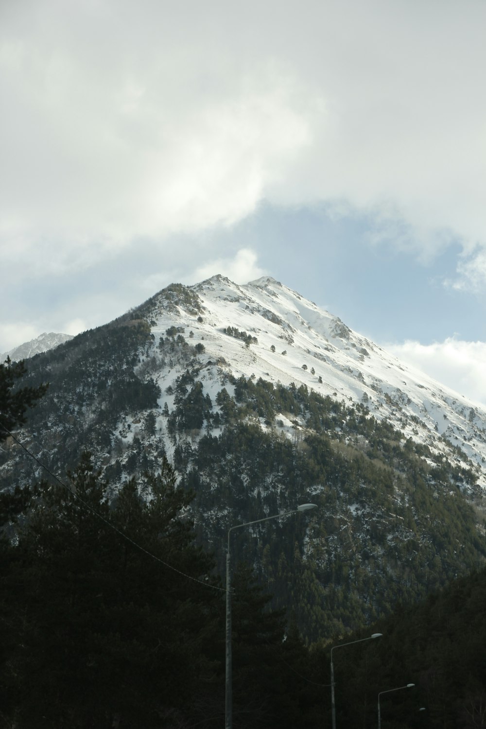 a large mountain covered in snow next to a forest