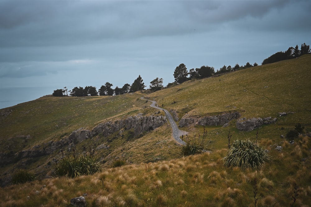 Un camino sinuoso en una colina cubierta de hierba con árboles en el fondo