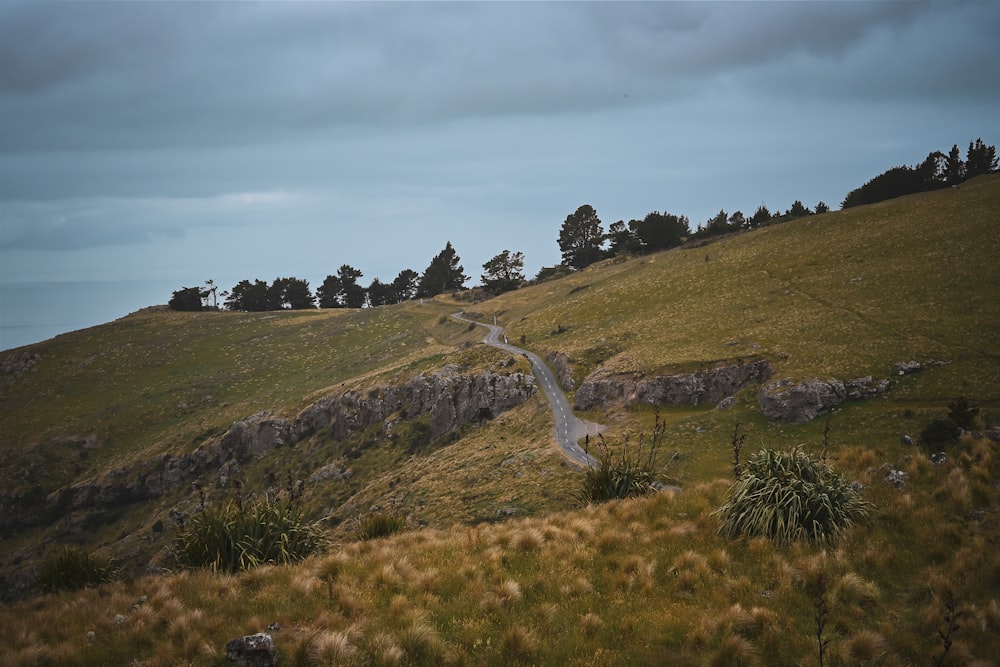 a winding road on a grassy hill with trees in the background