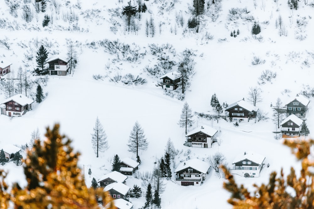 a snow covered hillside with houses and trees