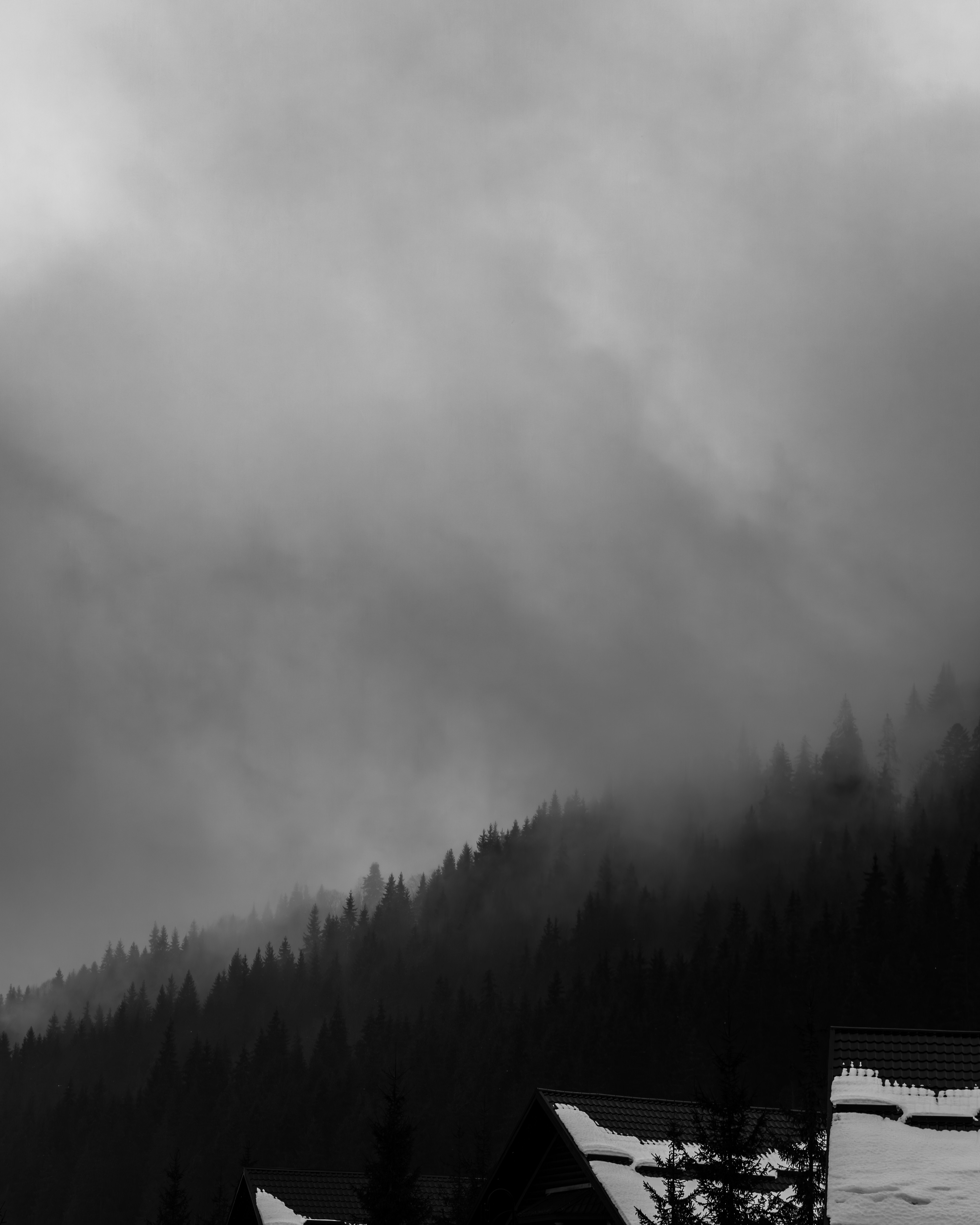 Photo by eugenechystiakov