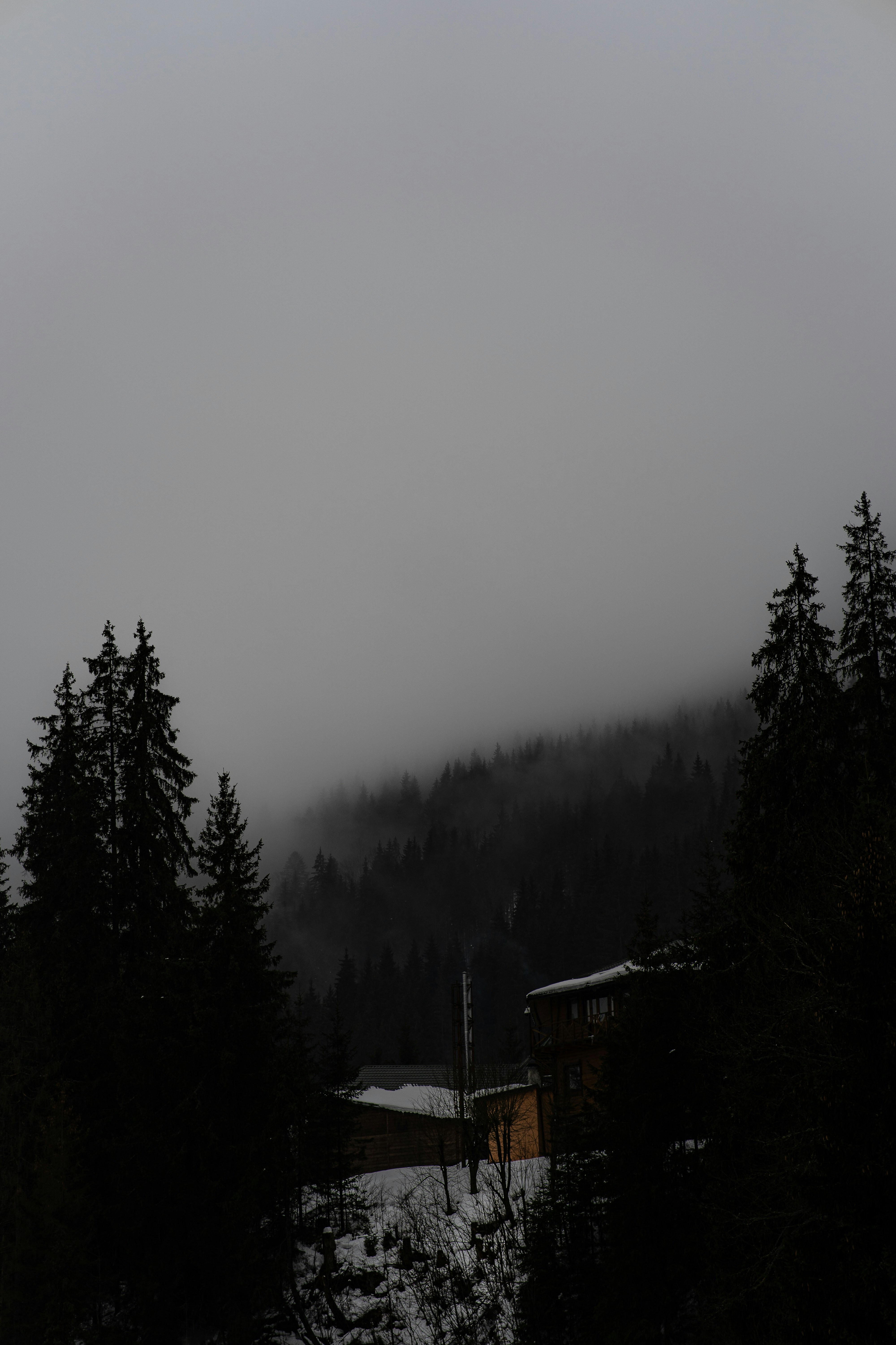 Photo by eugenechystiakov