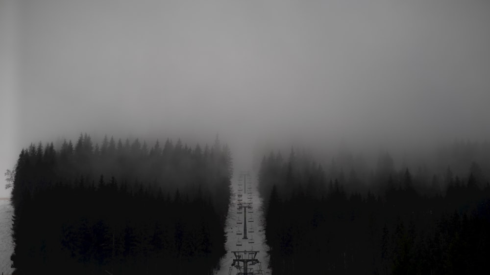 a ski lift in the middle of a foggy forest