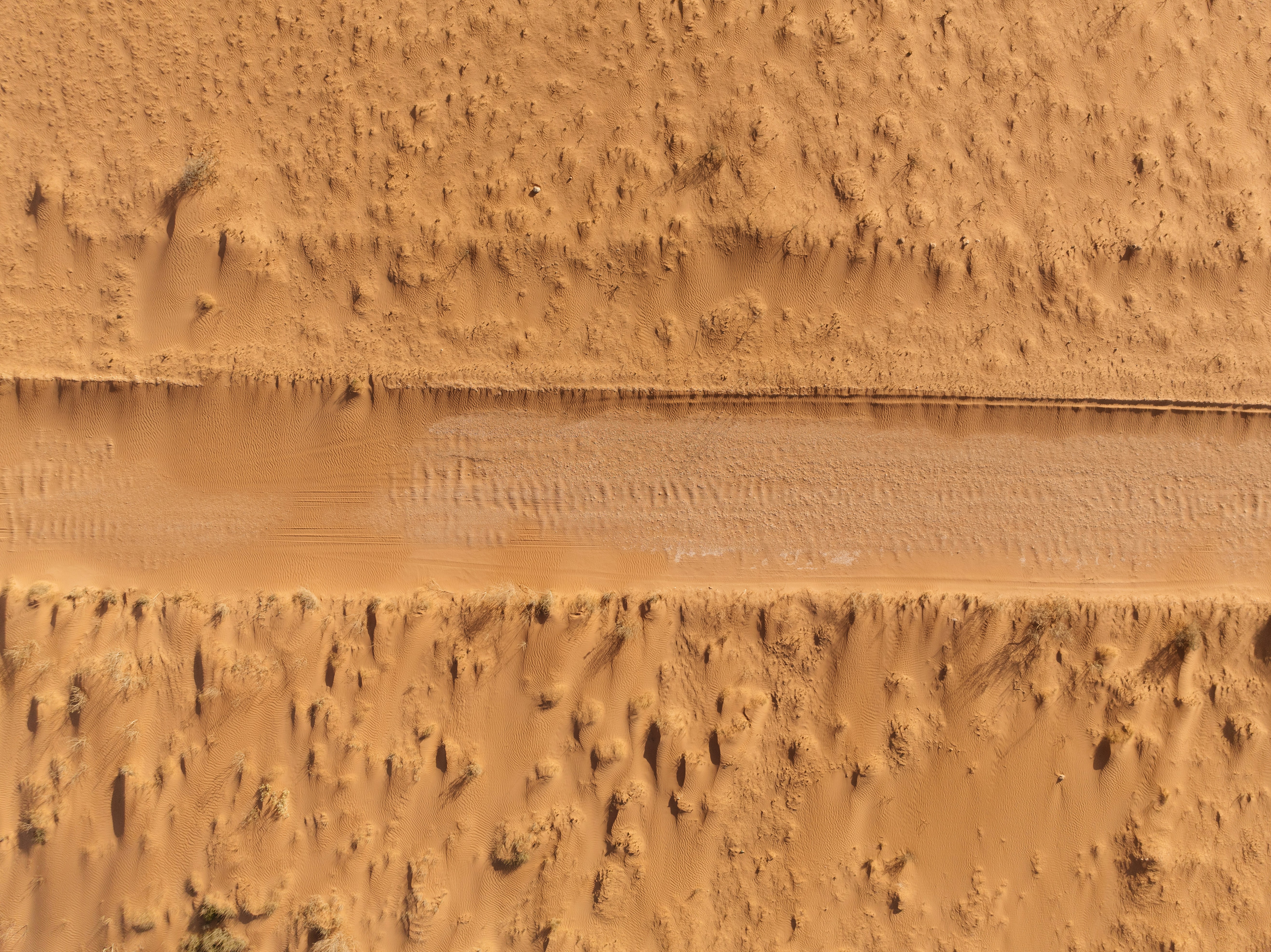 Photo by joshwithers