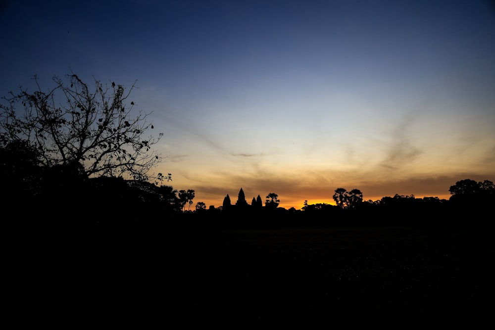 the sun is setting behind a tree in a field