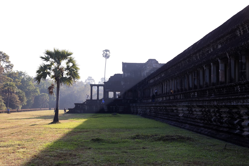 a large building with a palm tree in the foreground