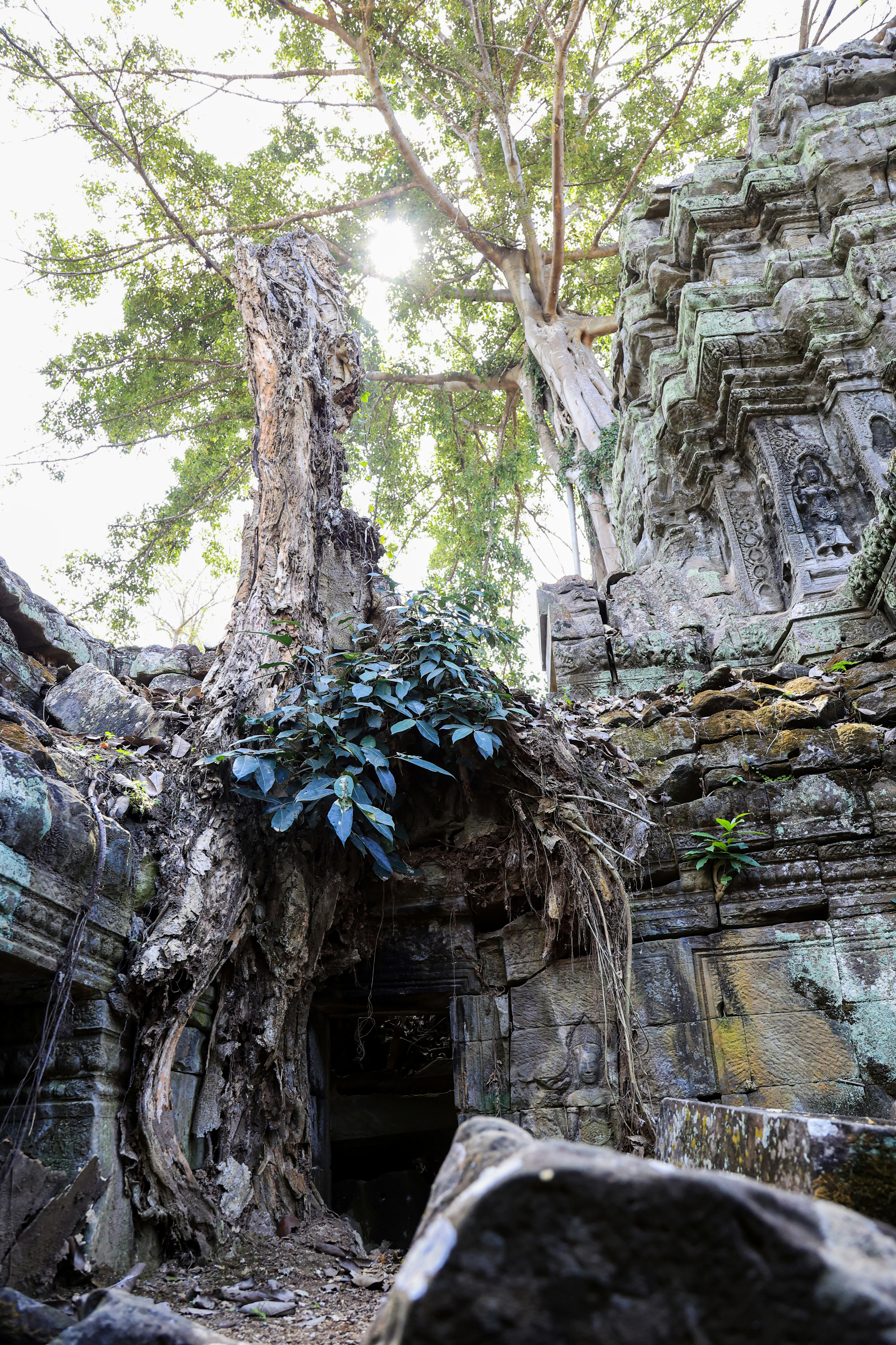 Photo by robincanfield