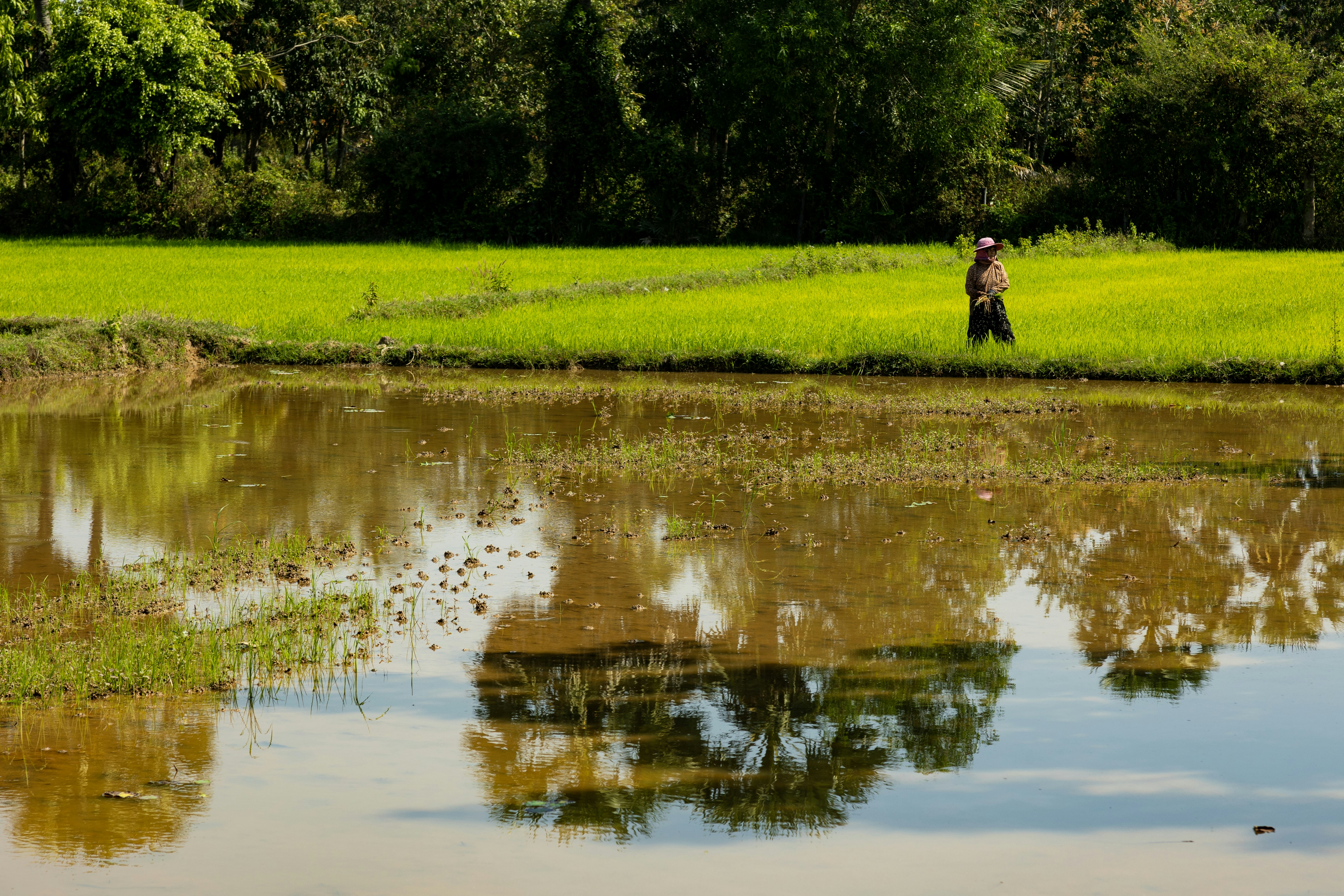 a man standing in a field next to a body of water