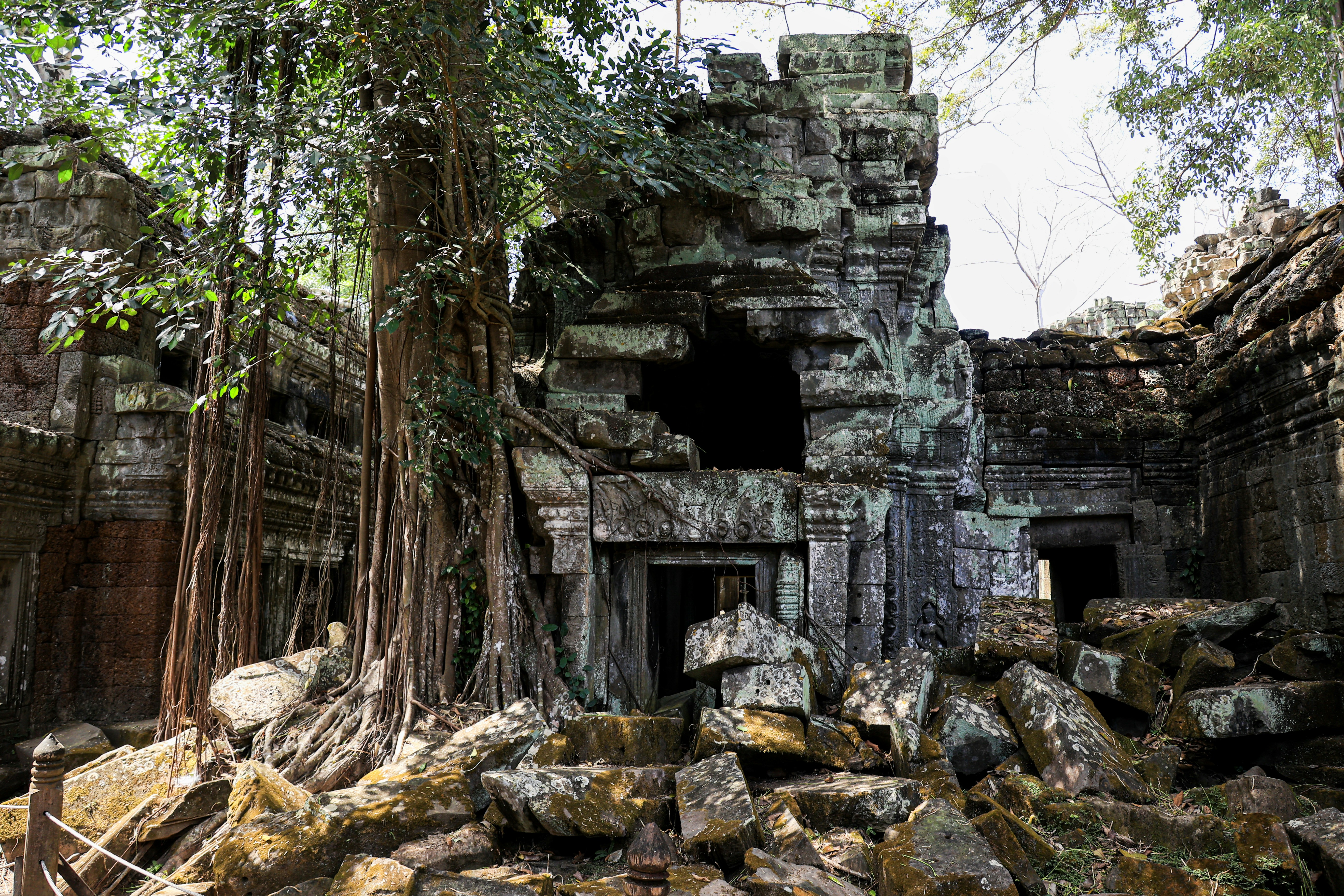 Photo by robincanfield