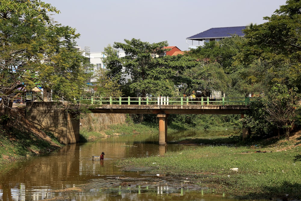 a bridge over a river with a person on it