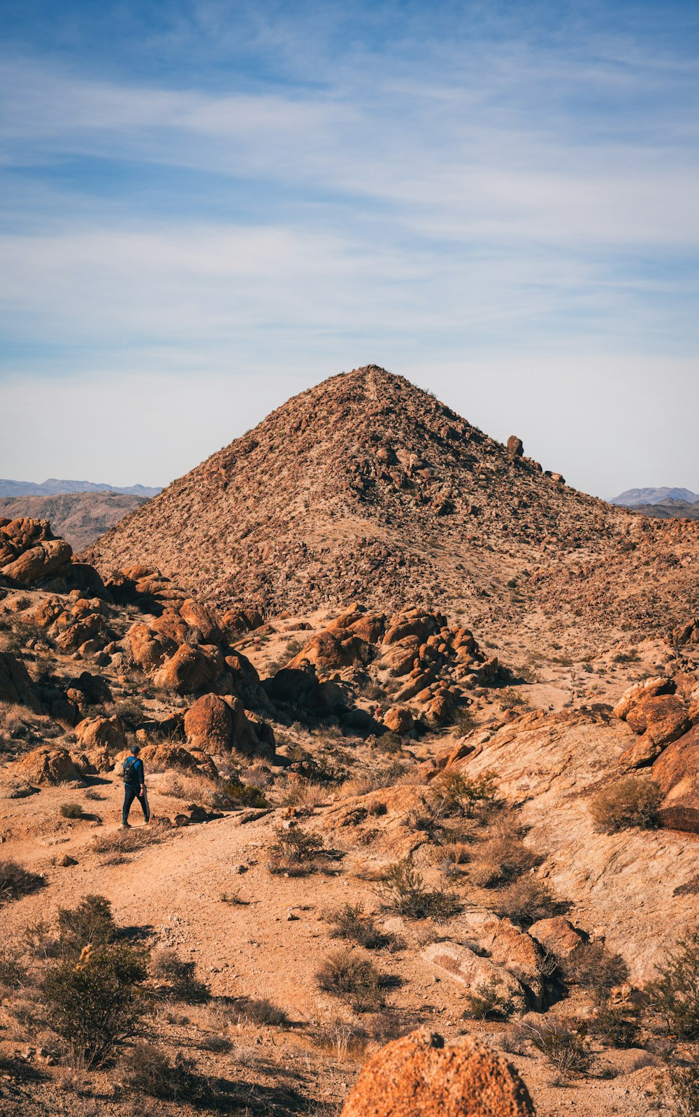 Un hombre está parado en medio de un desierto