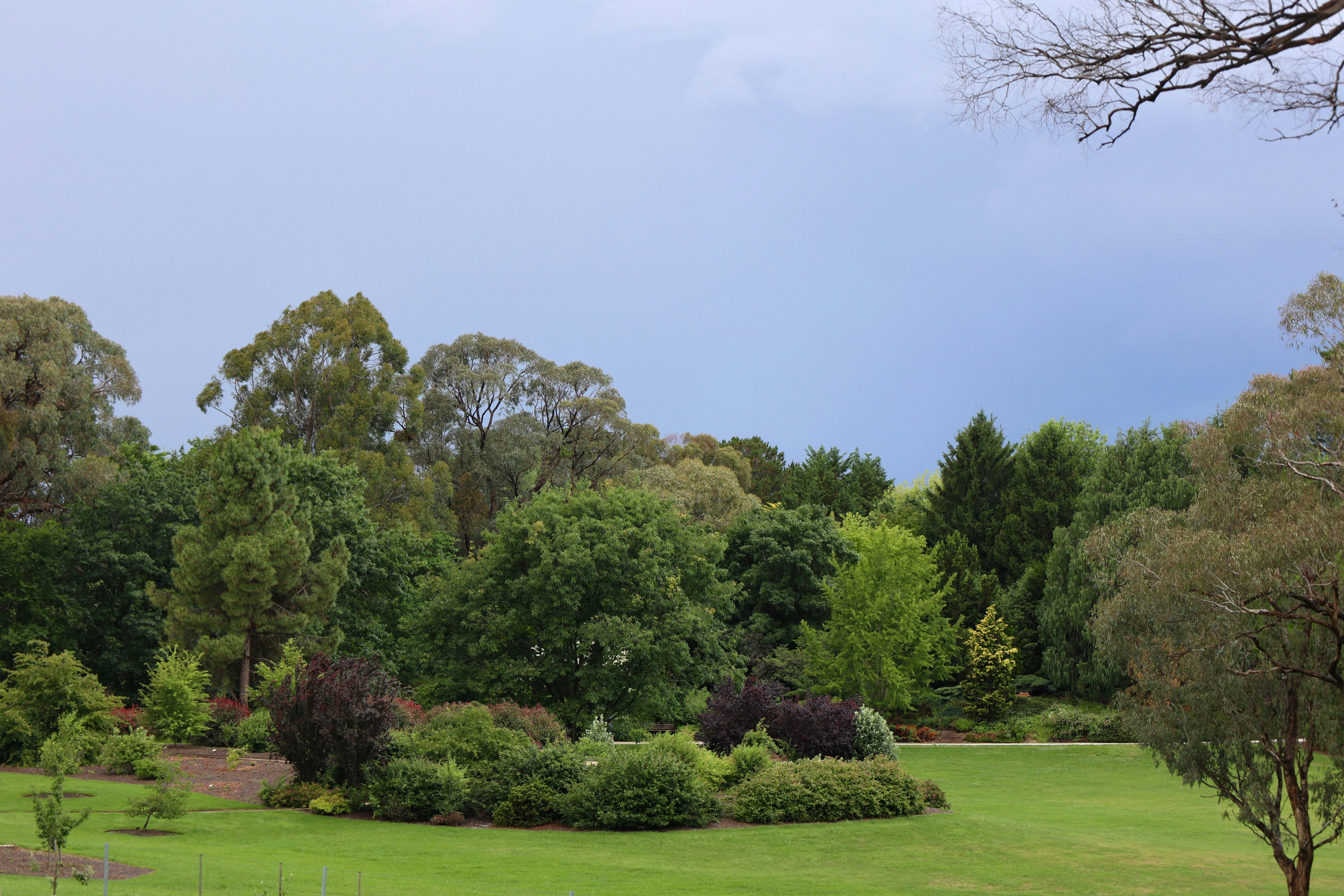 Photo by molly_montage