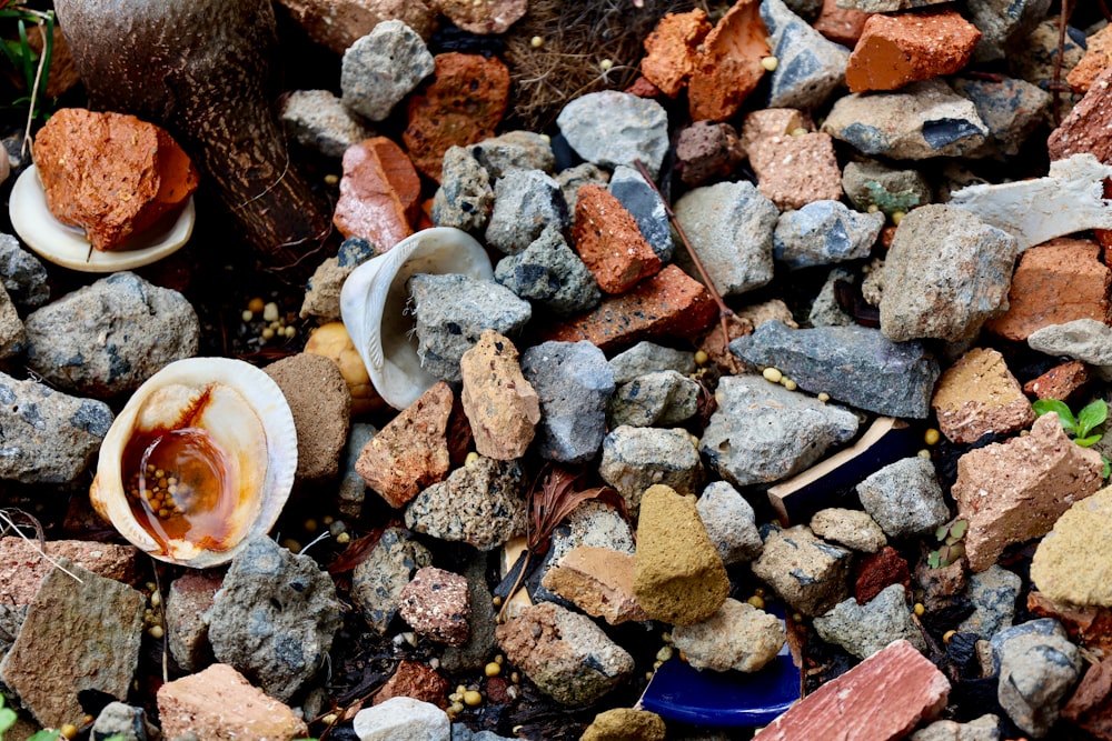a pile of rocks with a broken shell on top