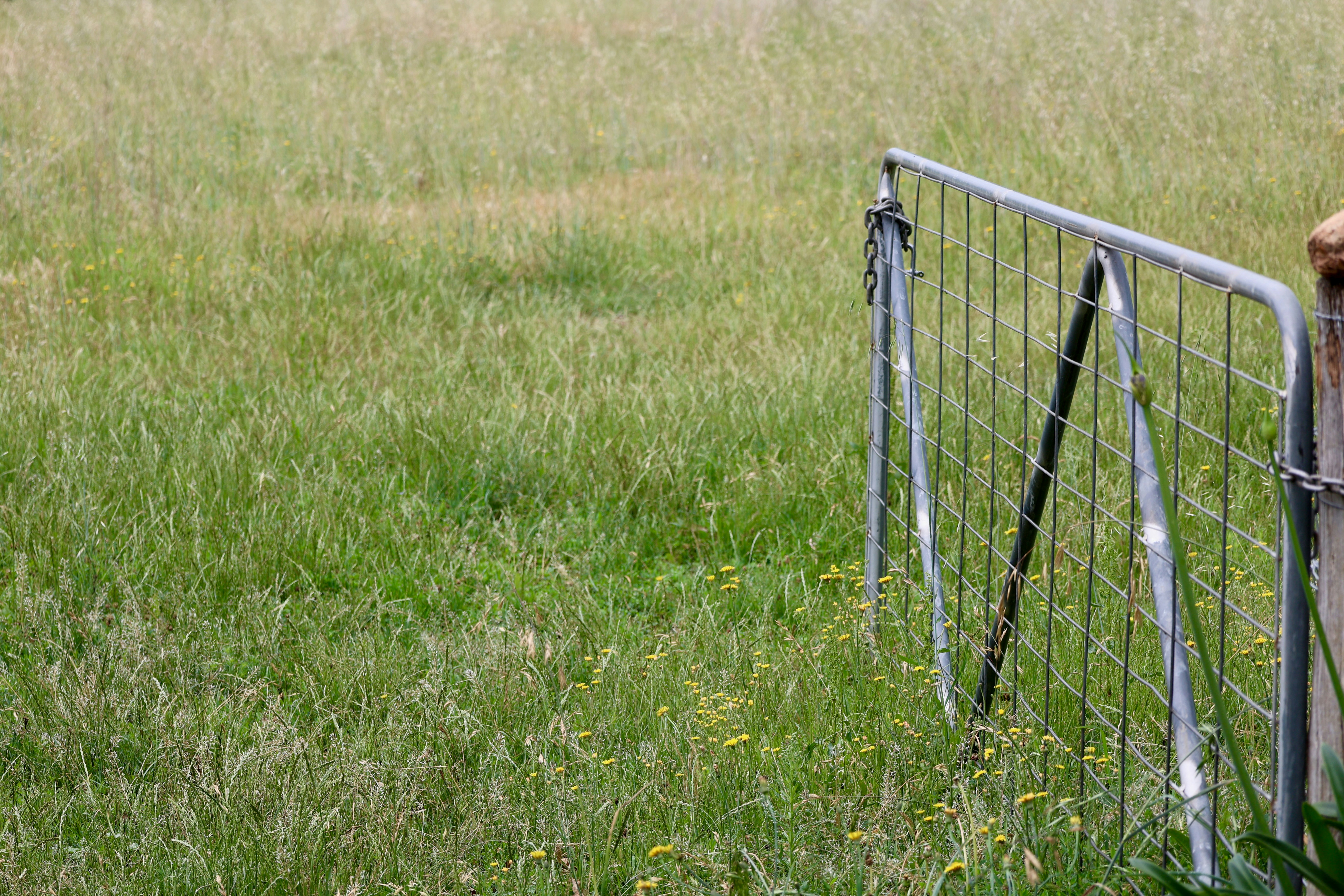 Farmers Launch Petition post image