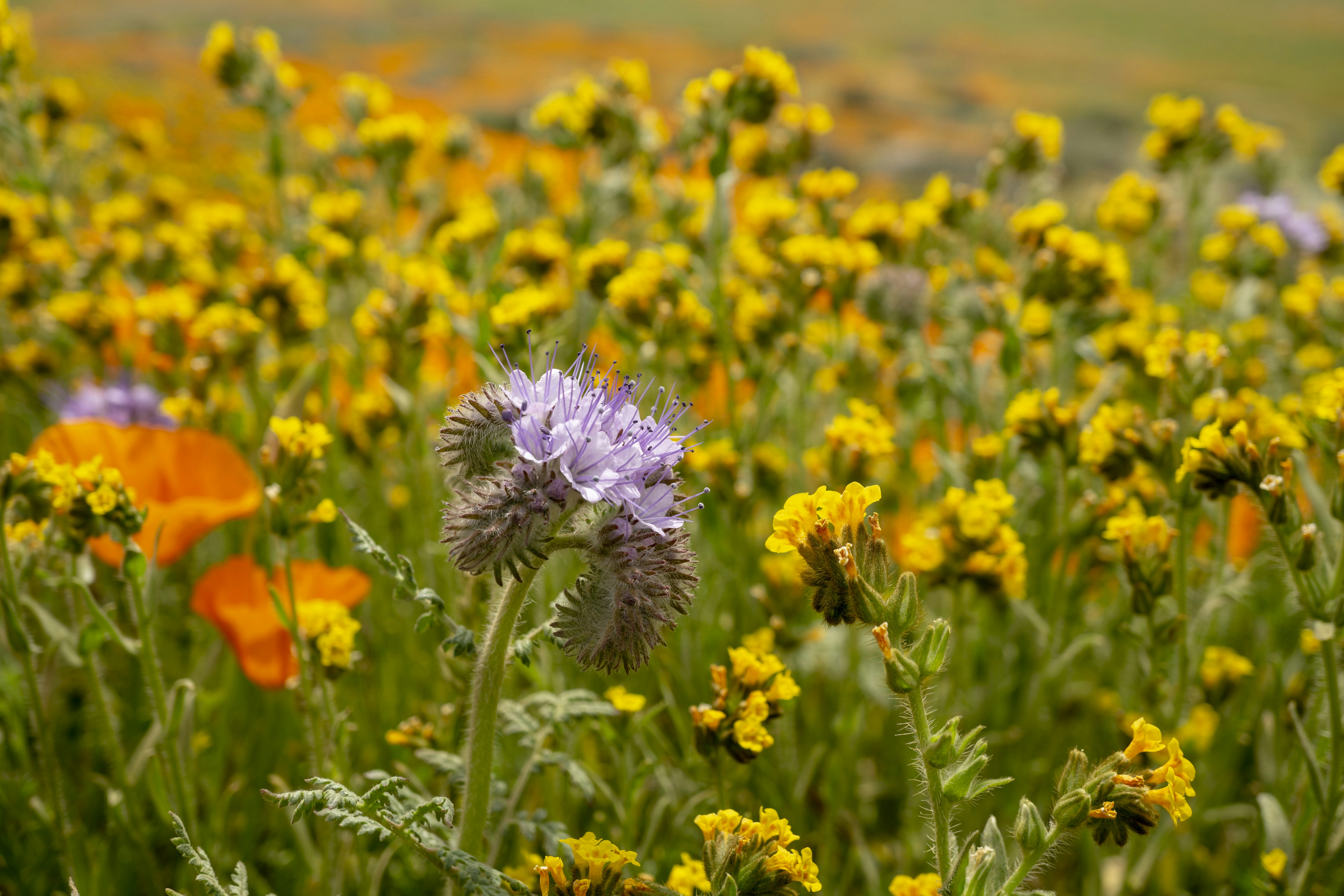 Photo by mariolaszeliga