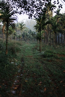 Palayamkottai.com Thenmalai