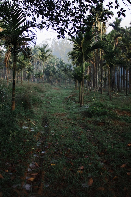 Palayamkottai.com Thenmalai