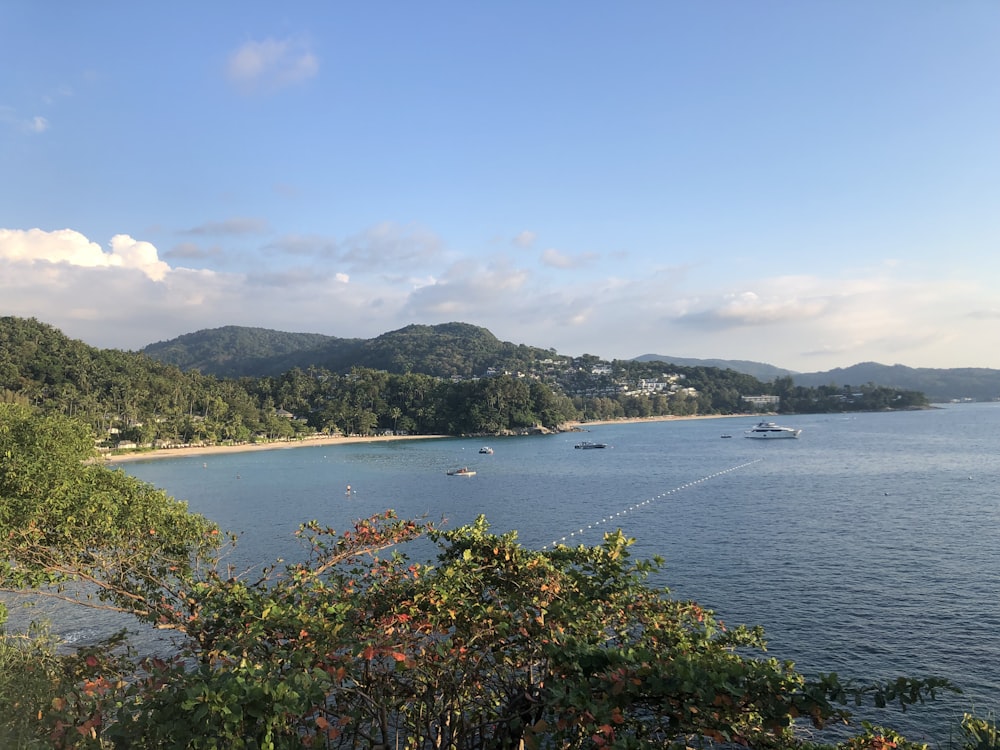 a body of water surrounded by trees and hills