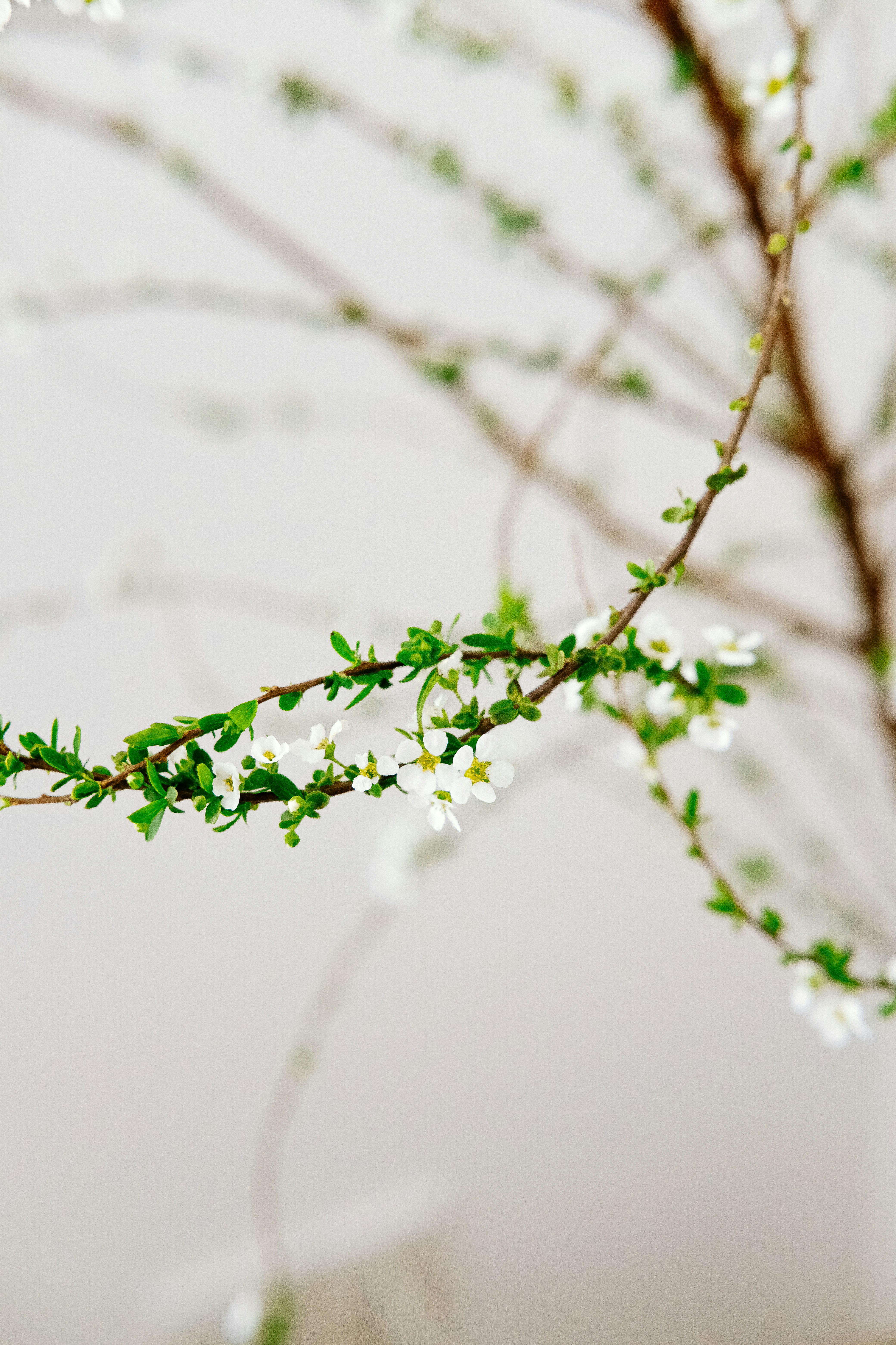 Photo by nganduong93