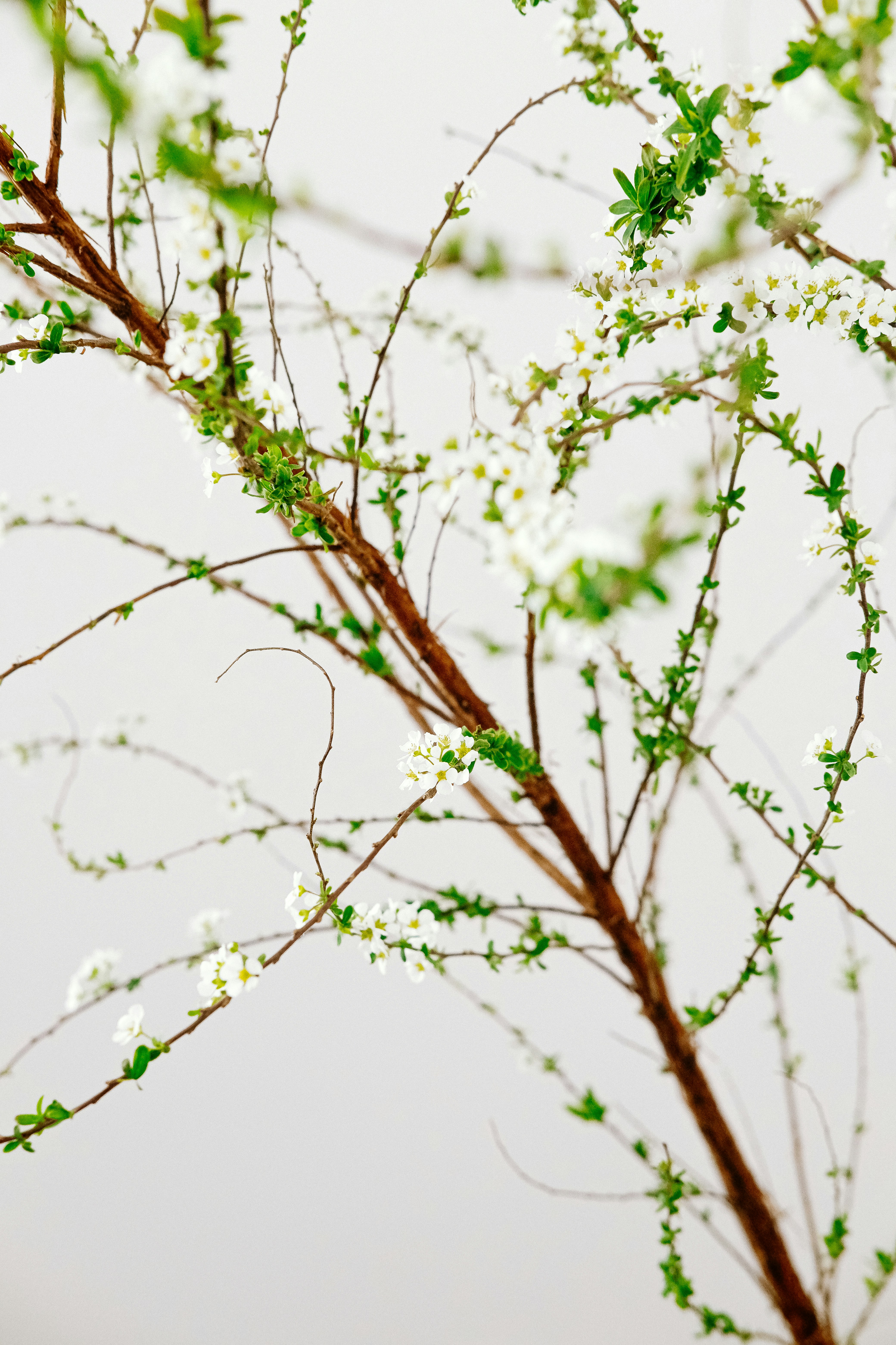 Photo by nganduong93