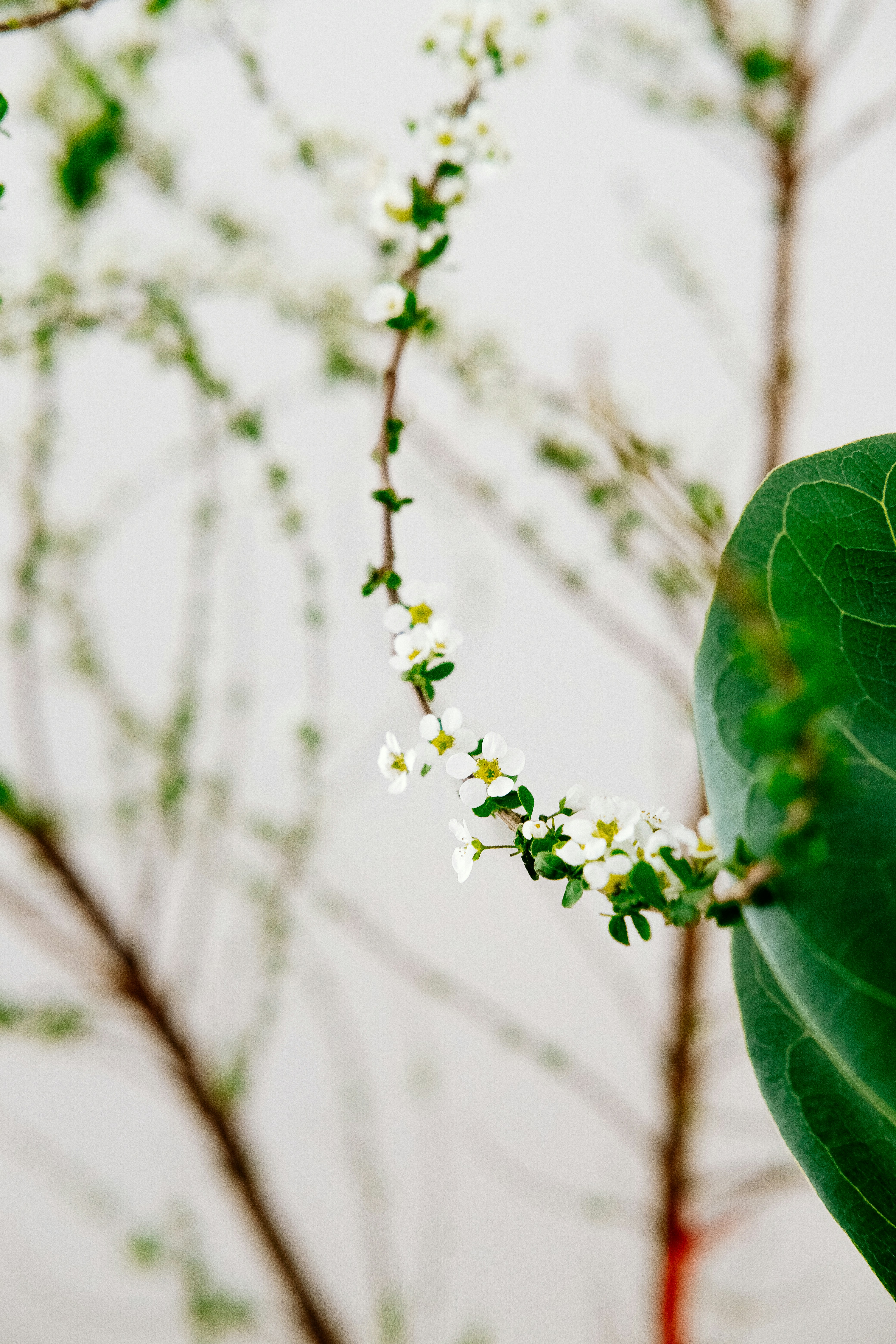 Photo by nganduong93