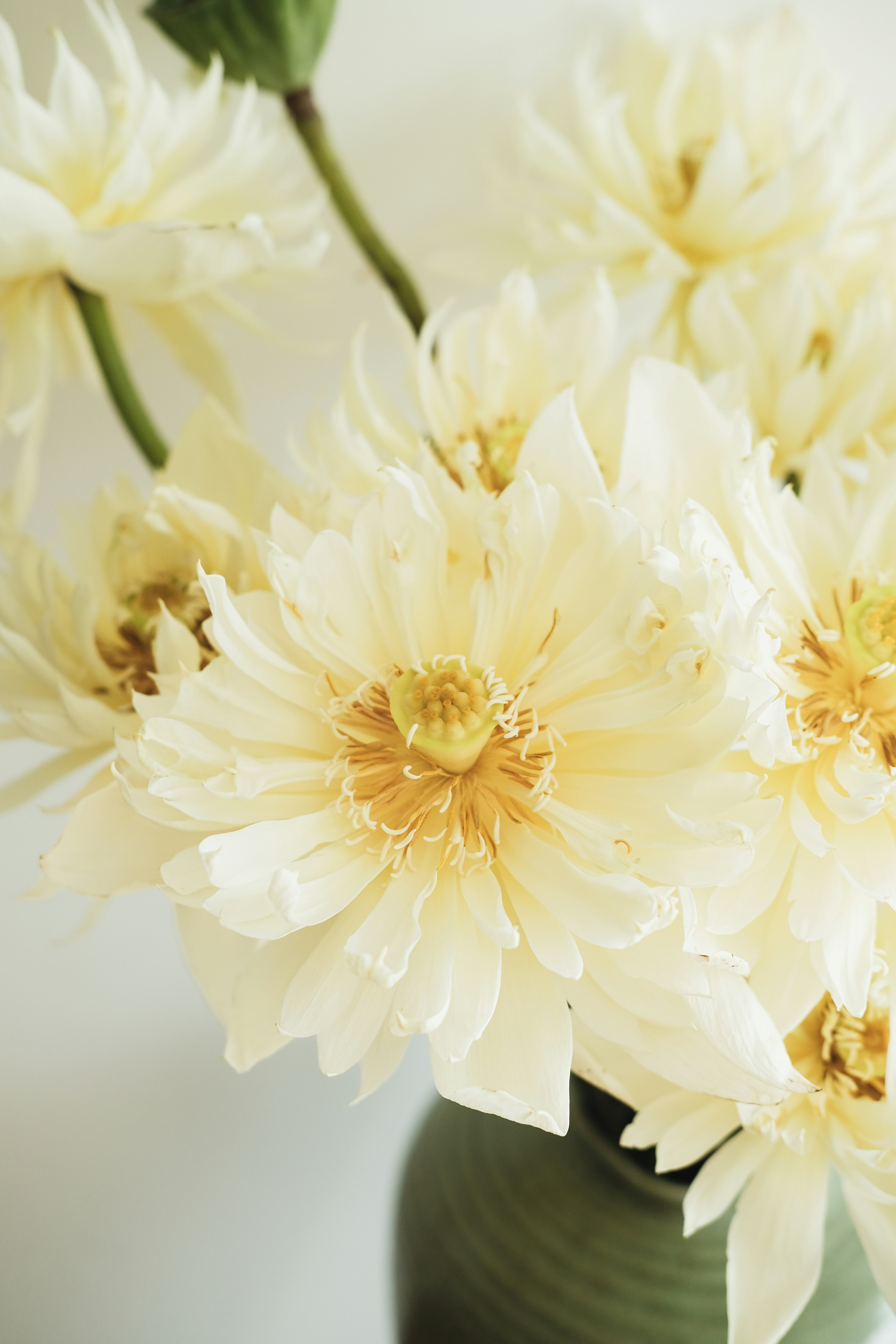 Photo by nganduong93