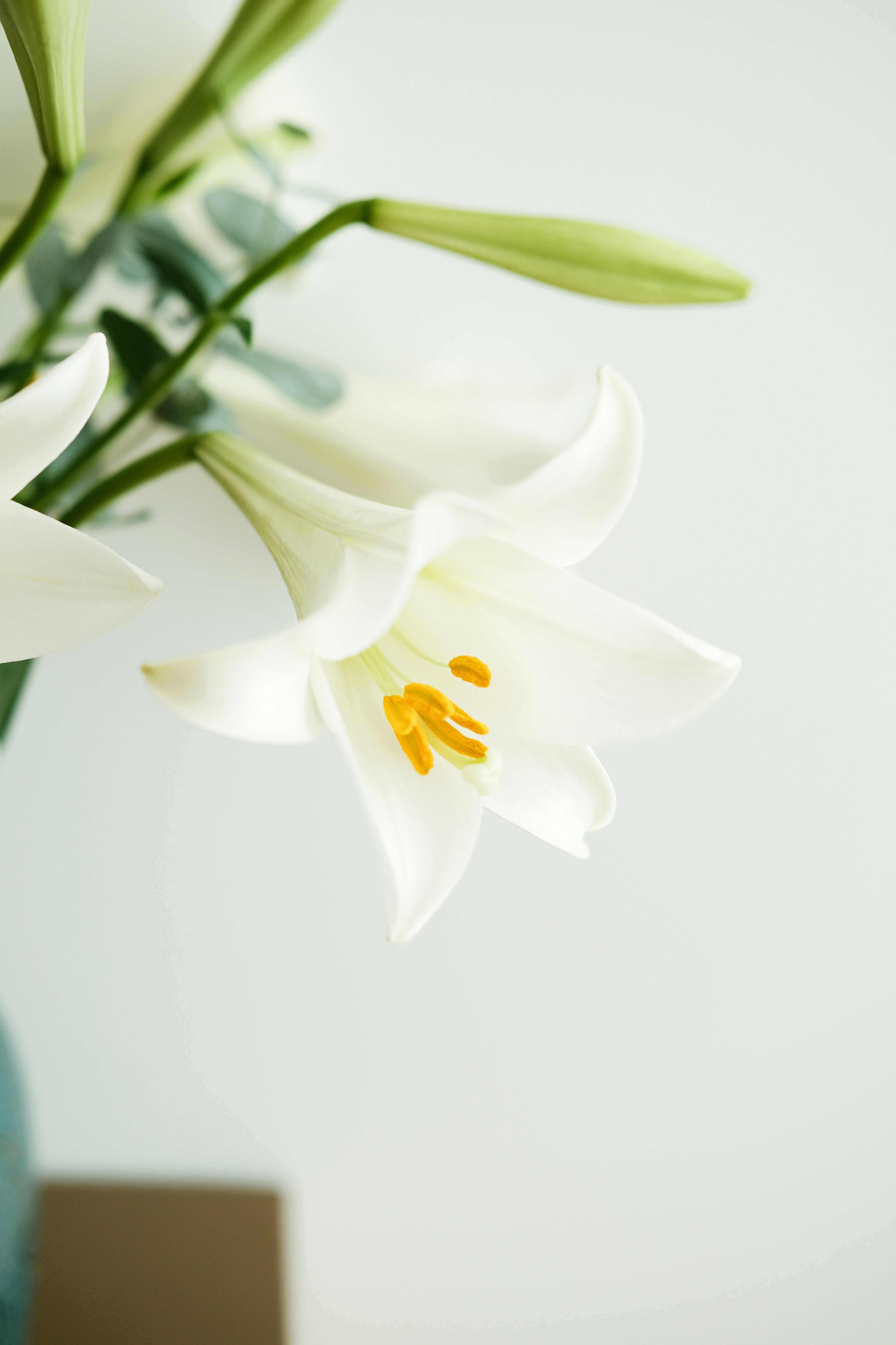 Photo by nganduong93