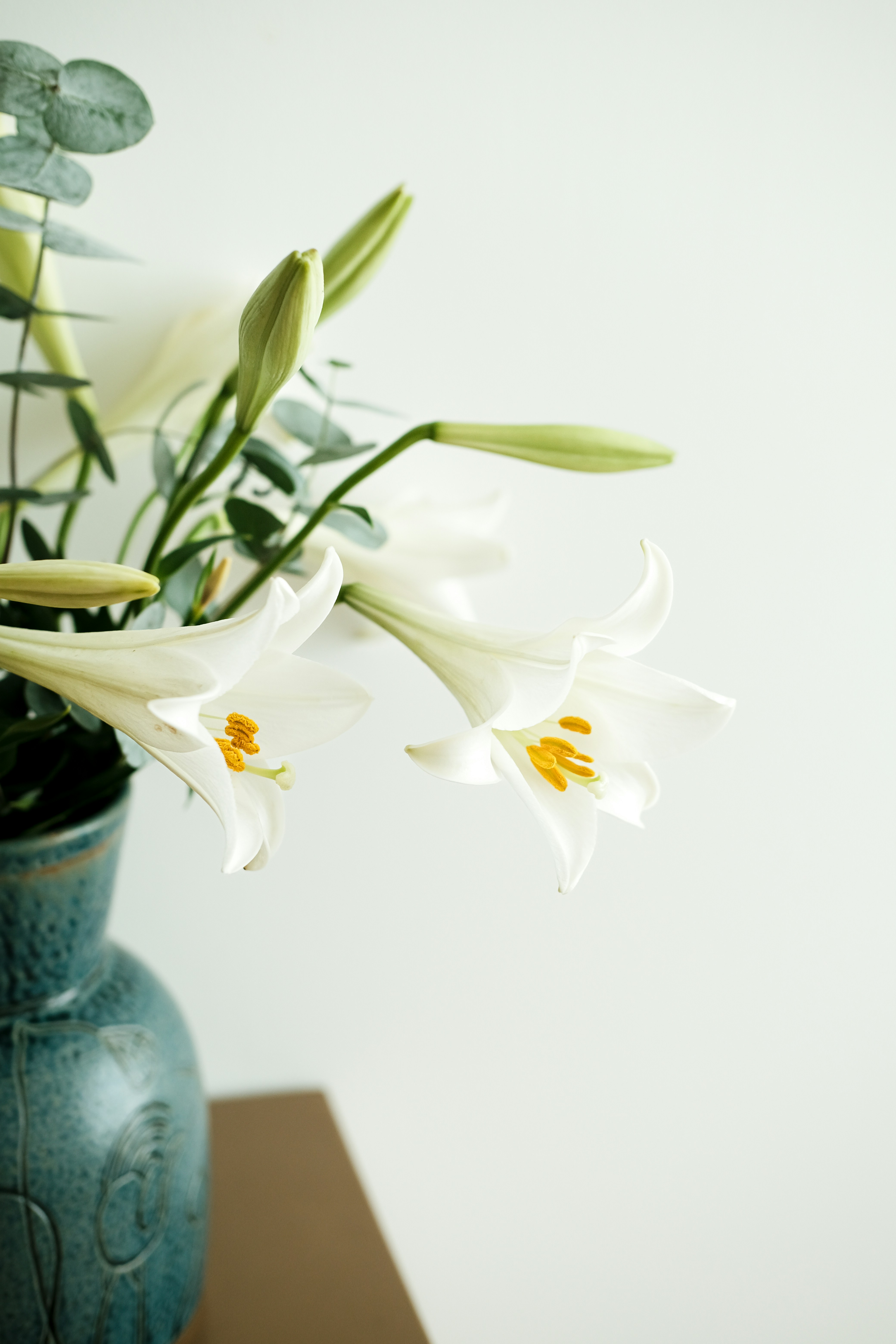 Photo by nganduong93