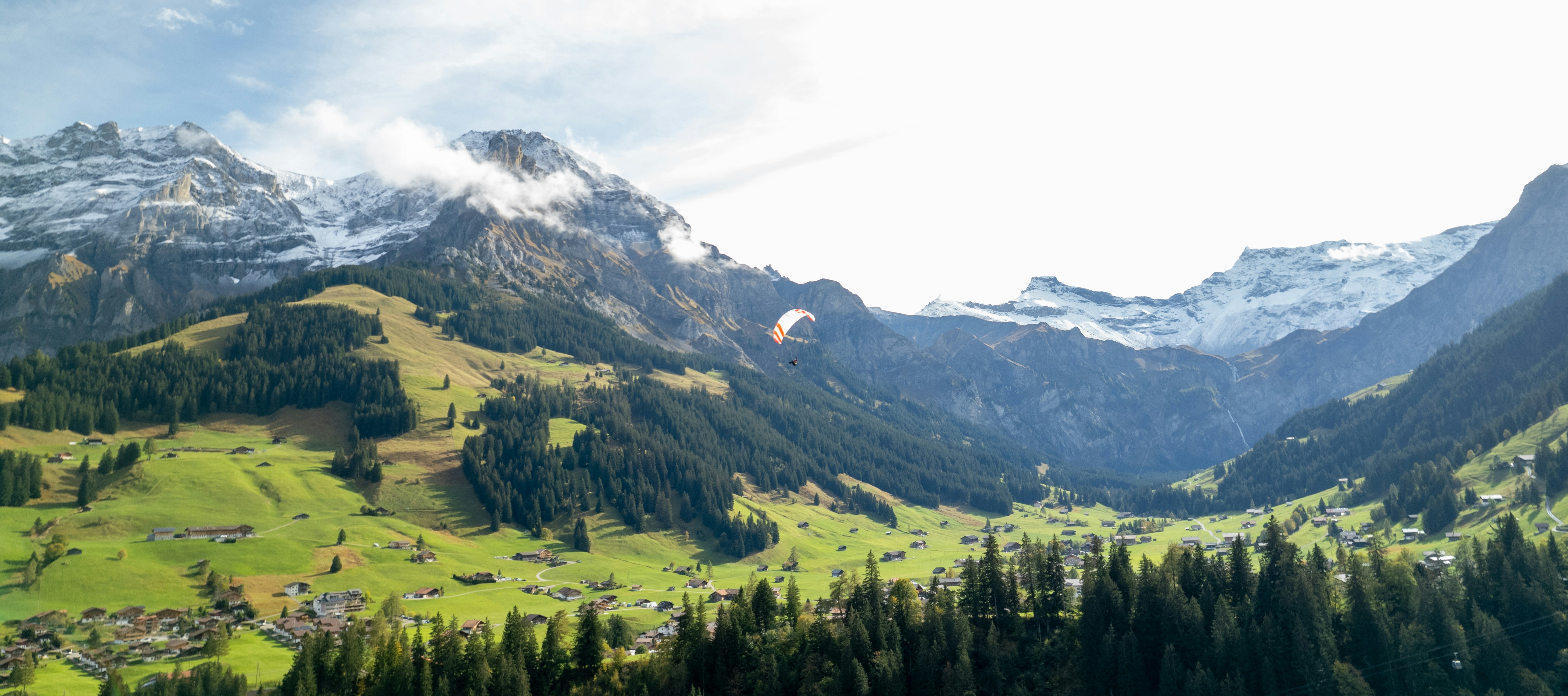 Photo by siboldmichel