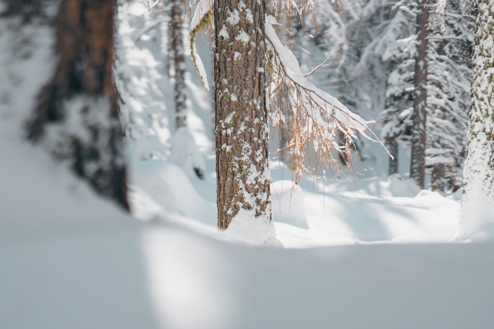 a person riding a snow board in the snow